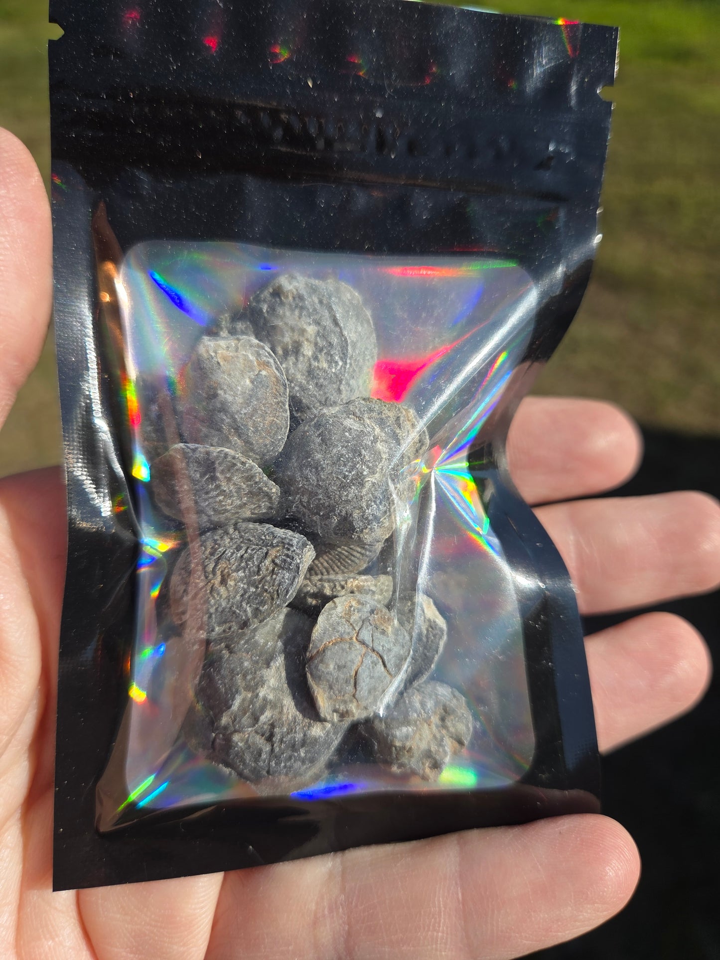 Bag of fossils