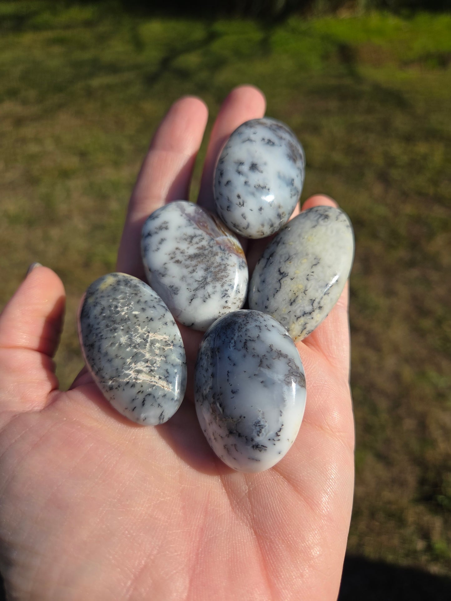 Dendritic Opal Mini Palms