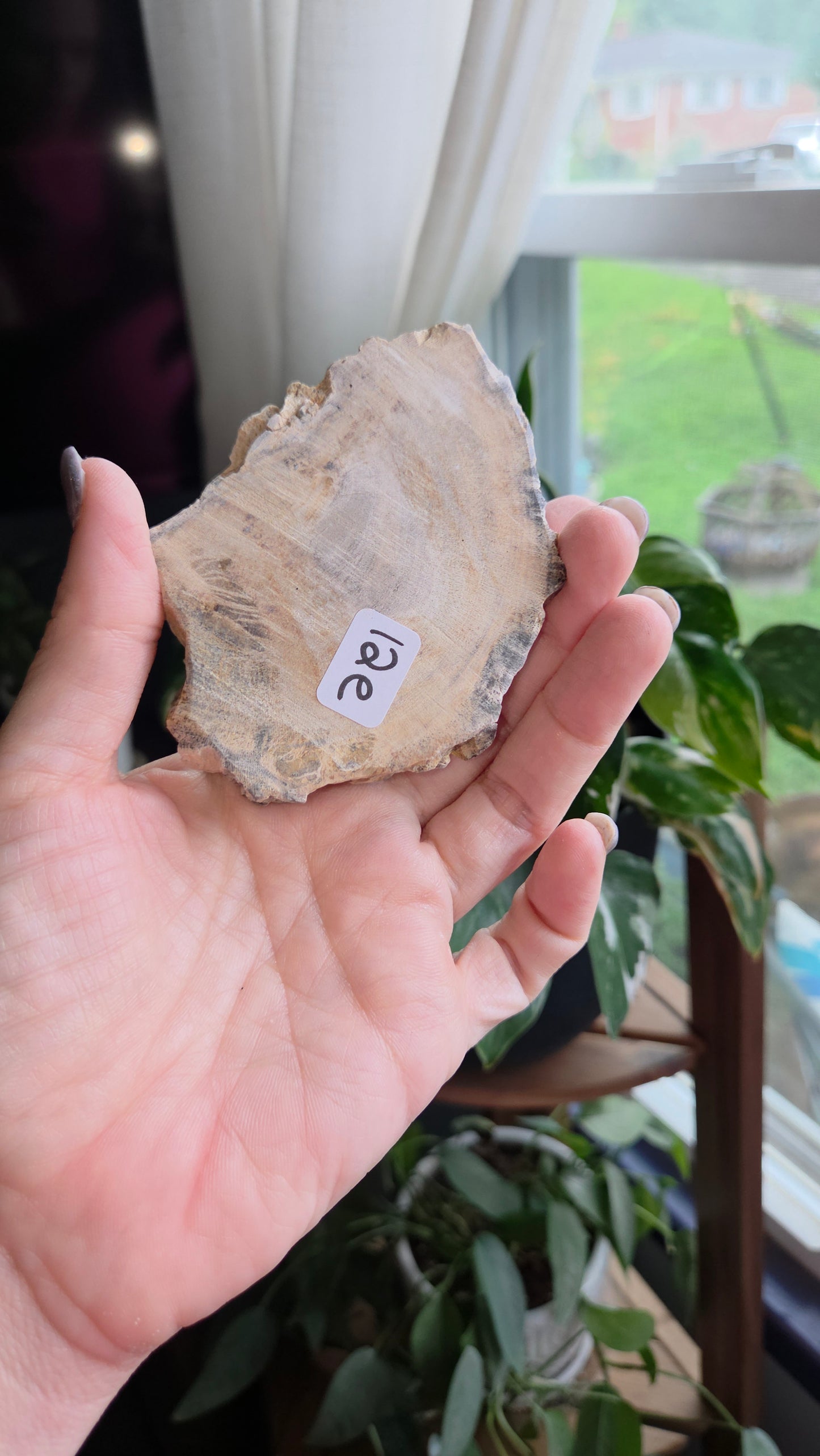 Petrified Wood Sphere Holder (12e)