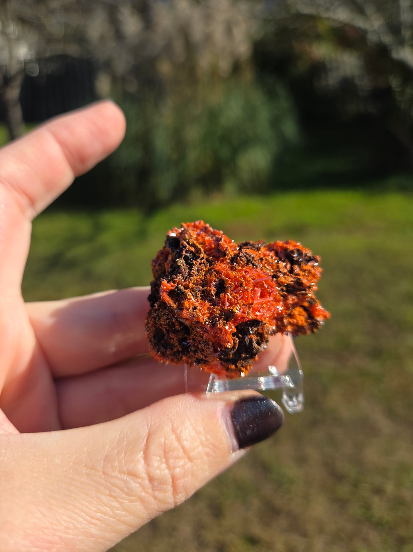 Crocoite (Tasmania, Australia)