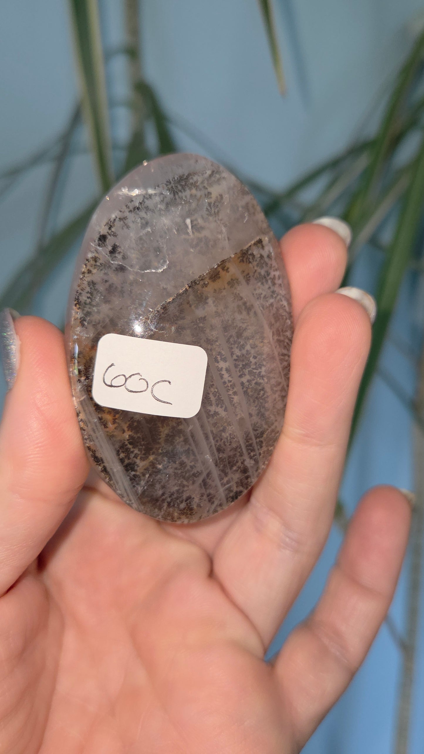 Dendritic Rose Quartz Palm