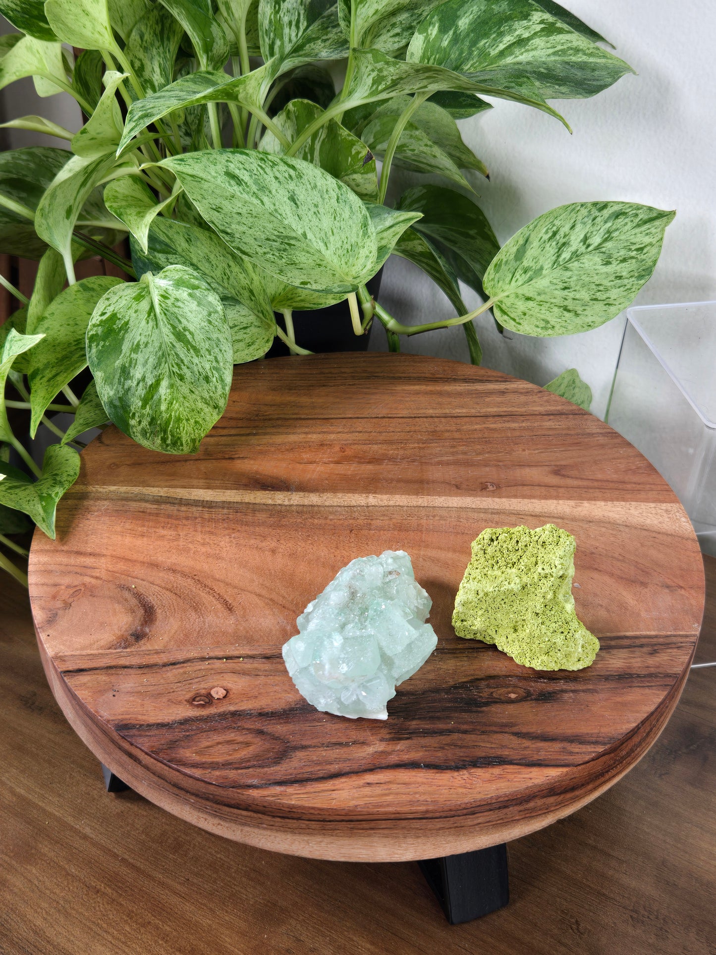 Comment to Claim thestarr141