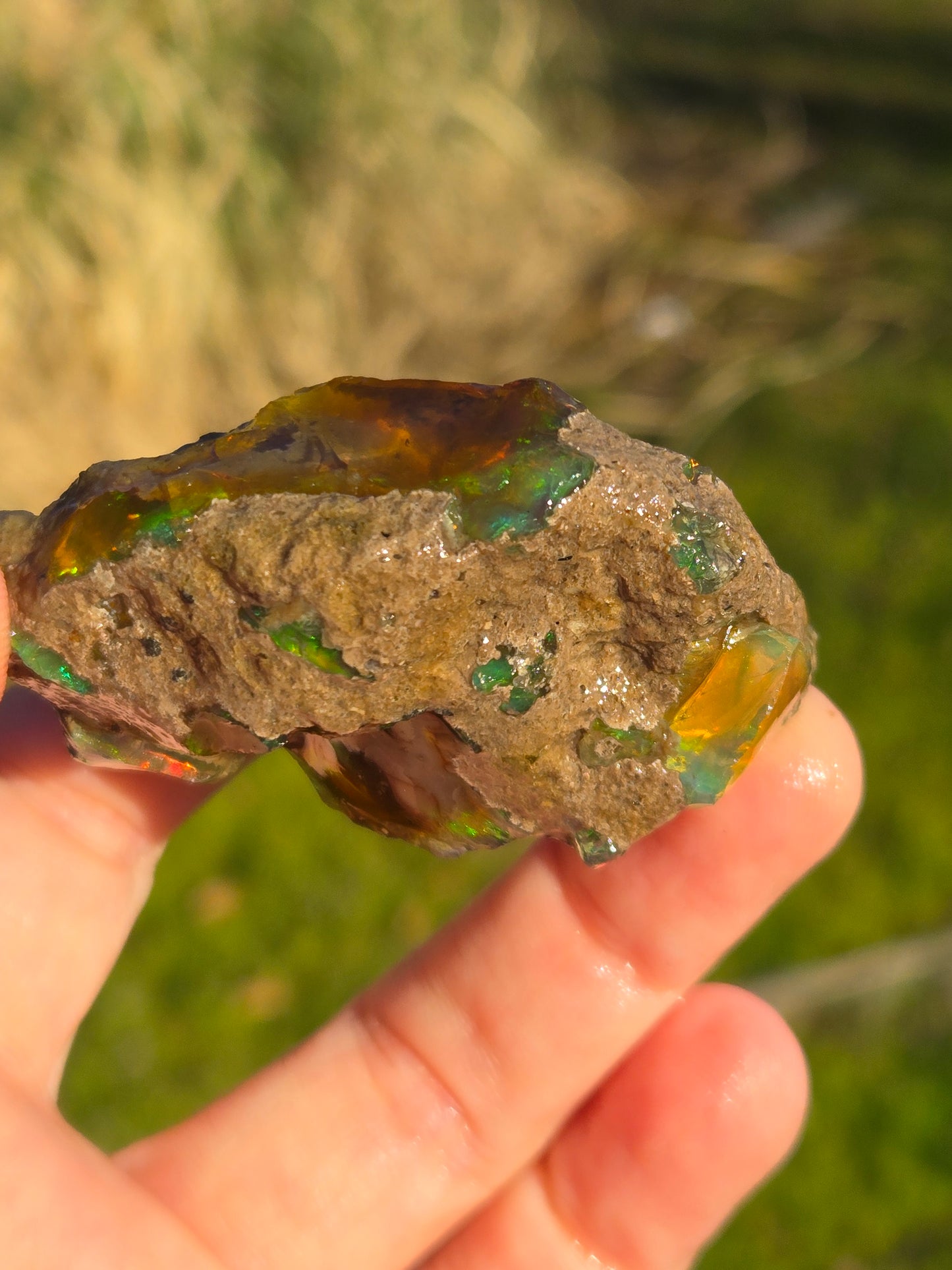 Ethiopian Water Opal (6)