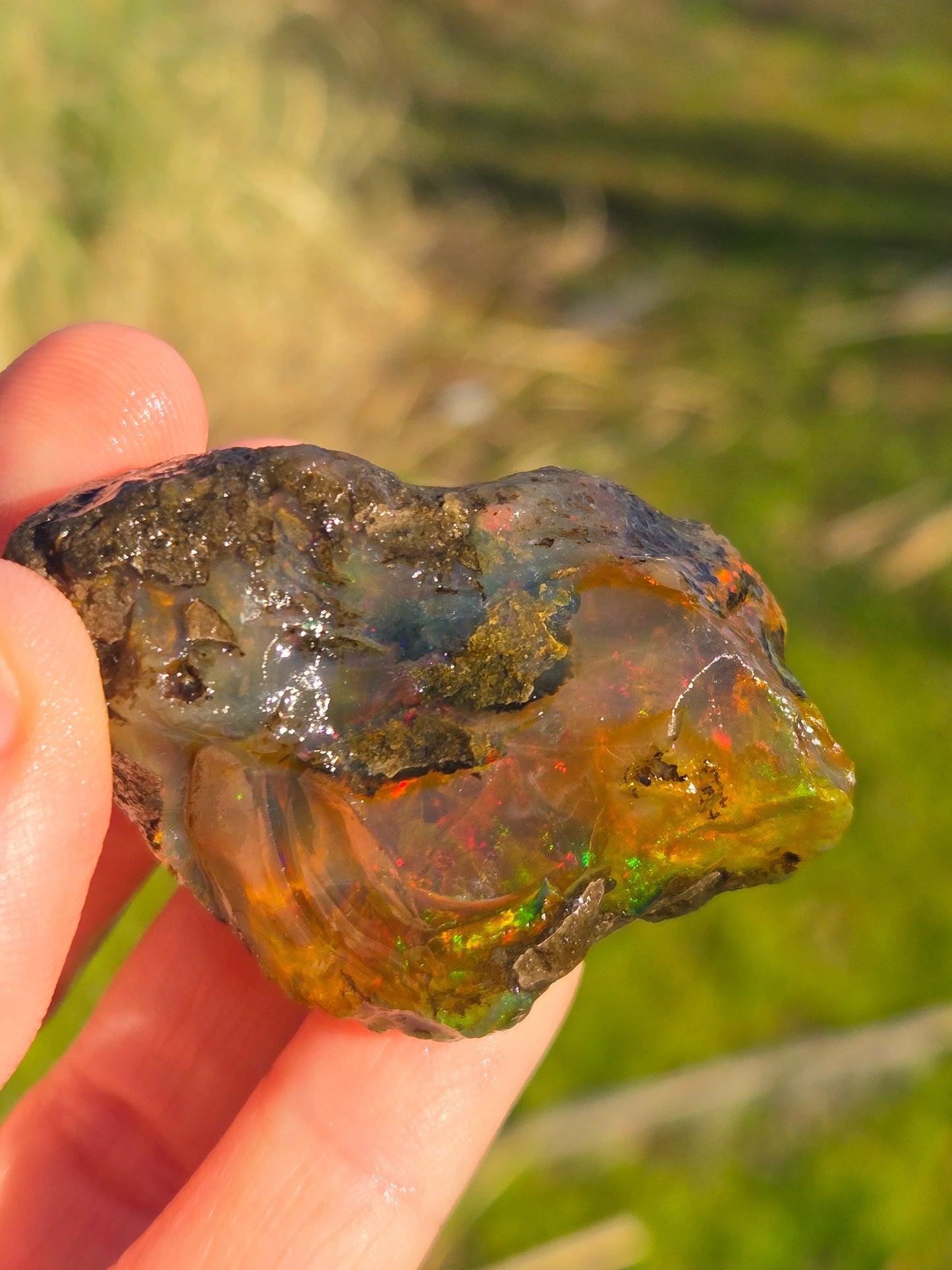 Ethiopian Water Opal (5)