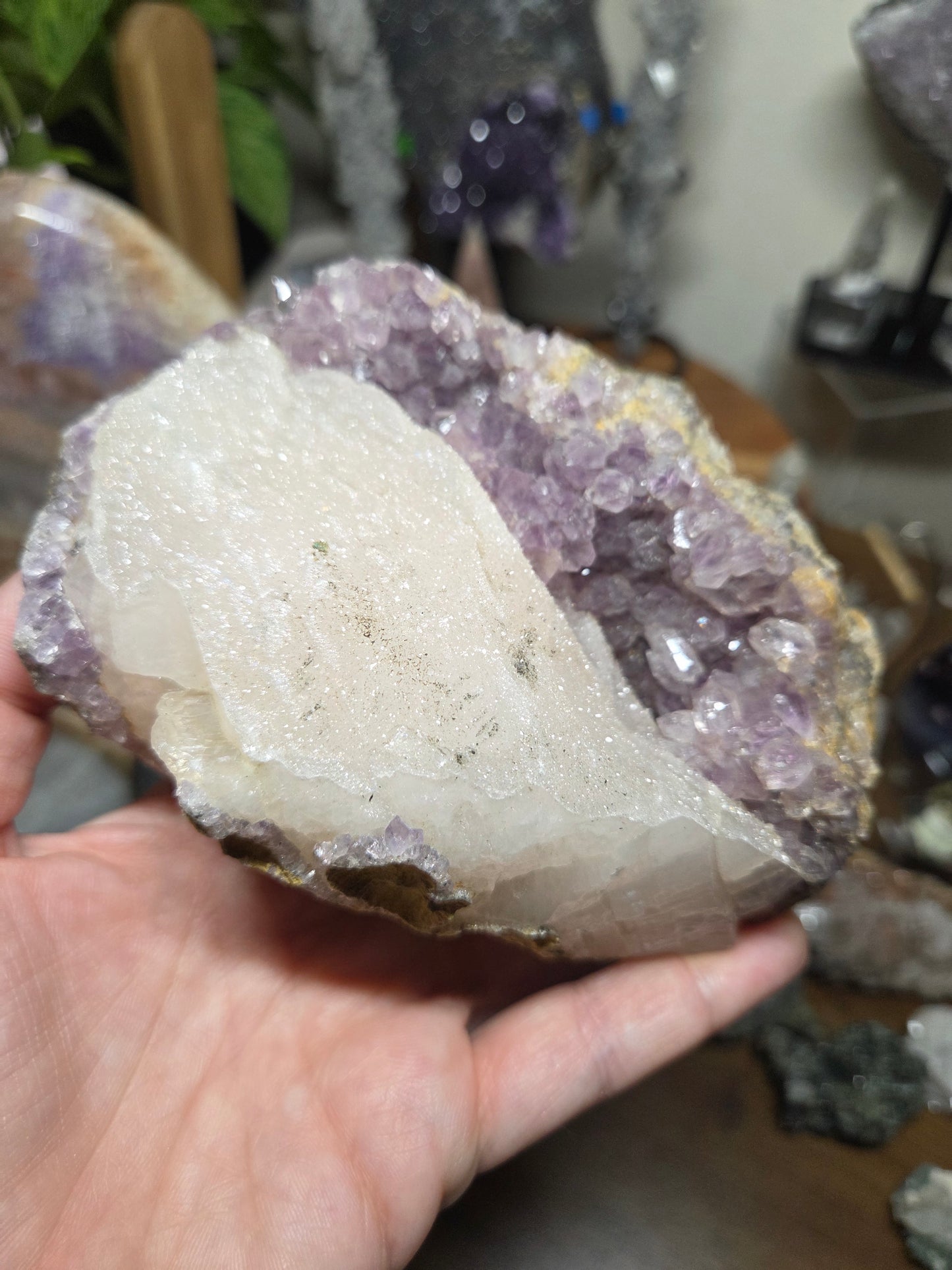 Comment to Claim Jamie