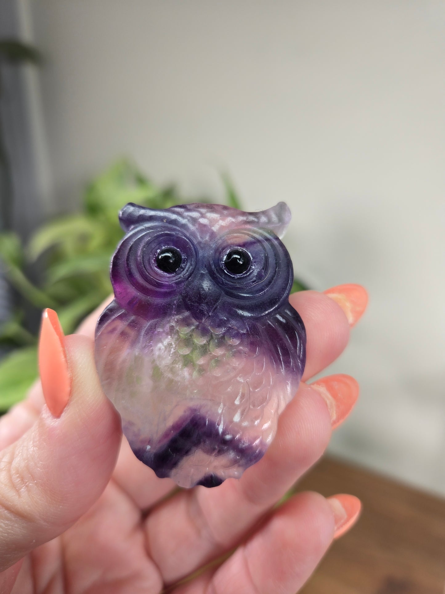 Fluorite Owls