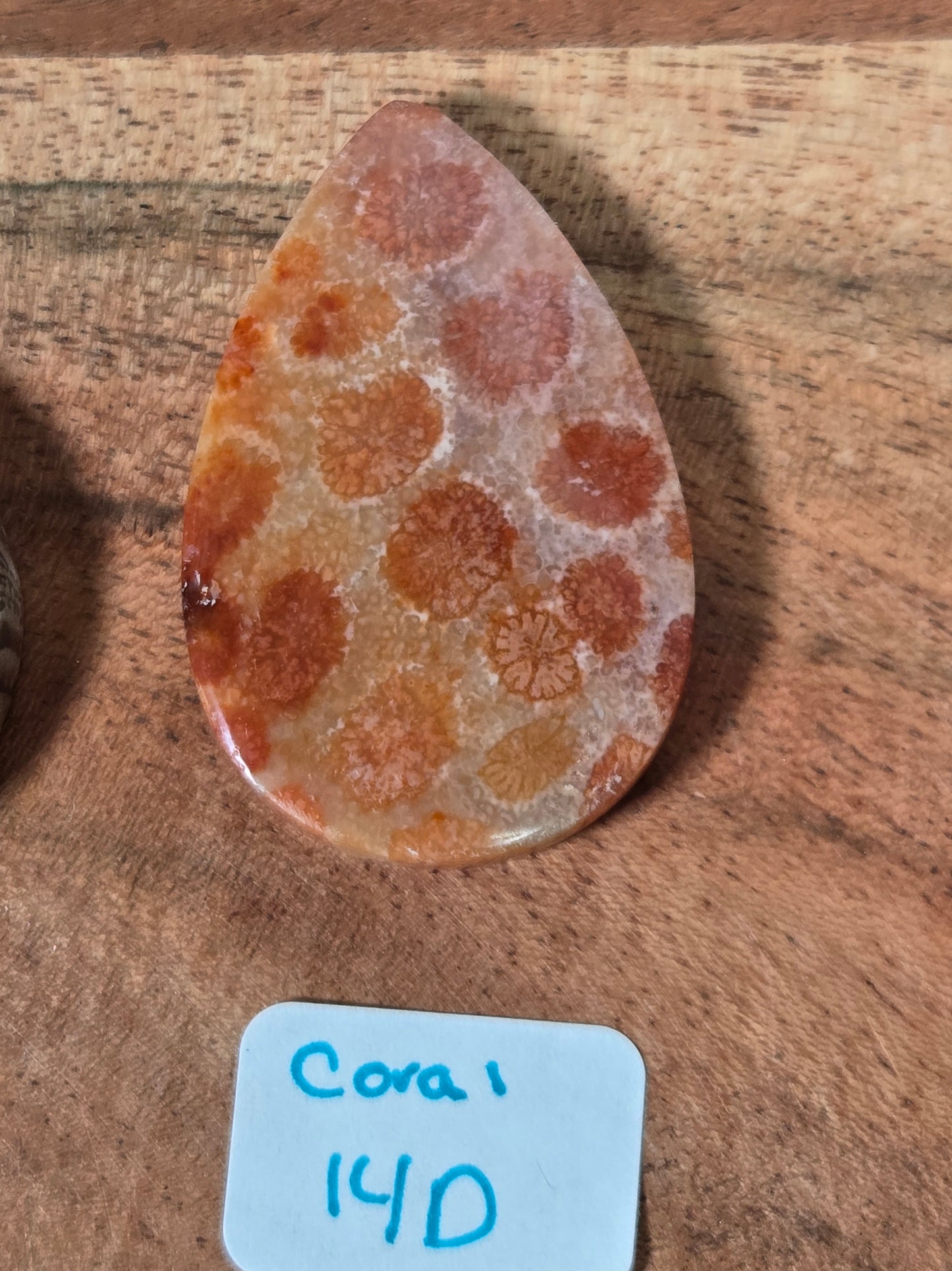 Coral Cabochon