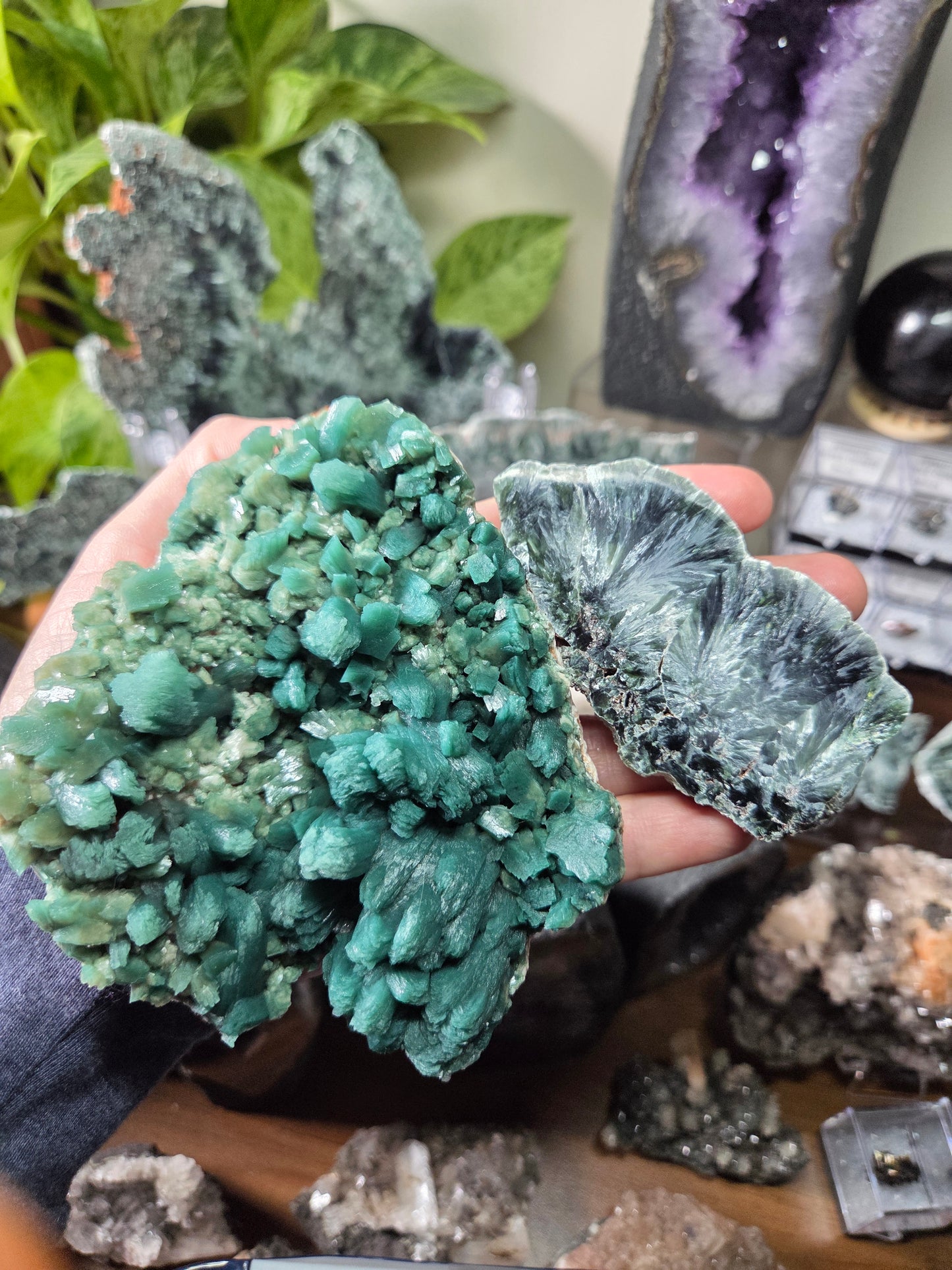 Comment to Claim Jamie