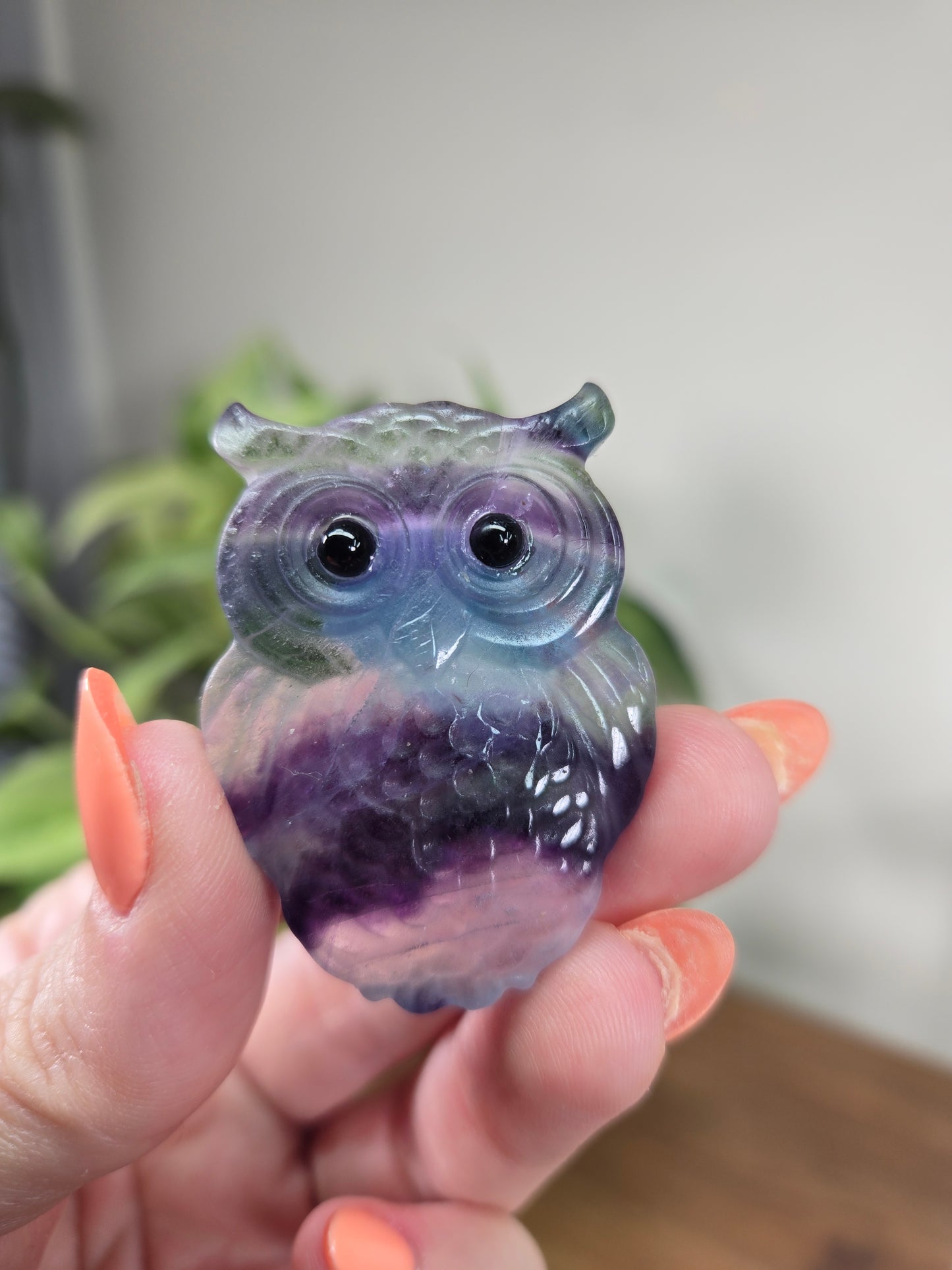 Fluorite Owls