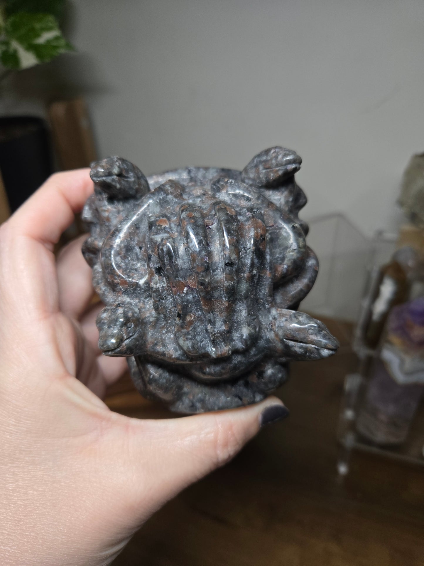 Medusa Head Yooperlite