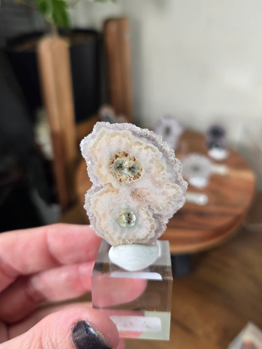 Stalactite Slices