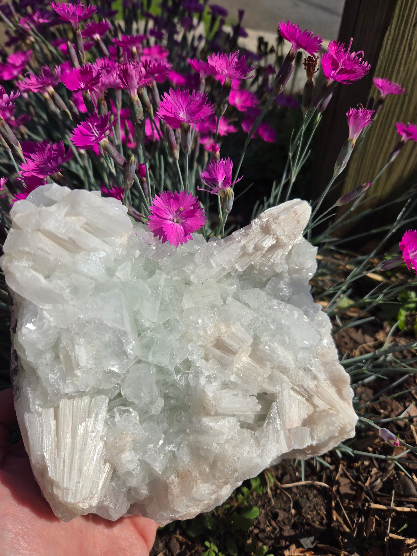 Green Apophyllite With Scolecite