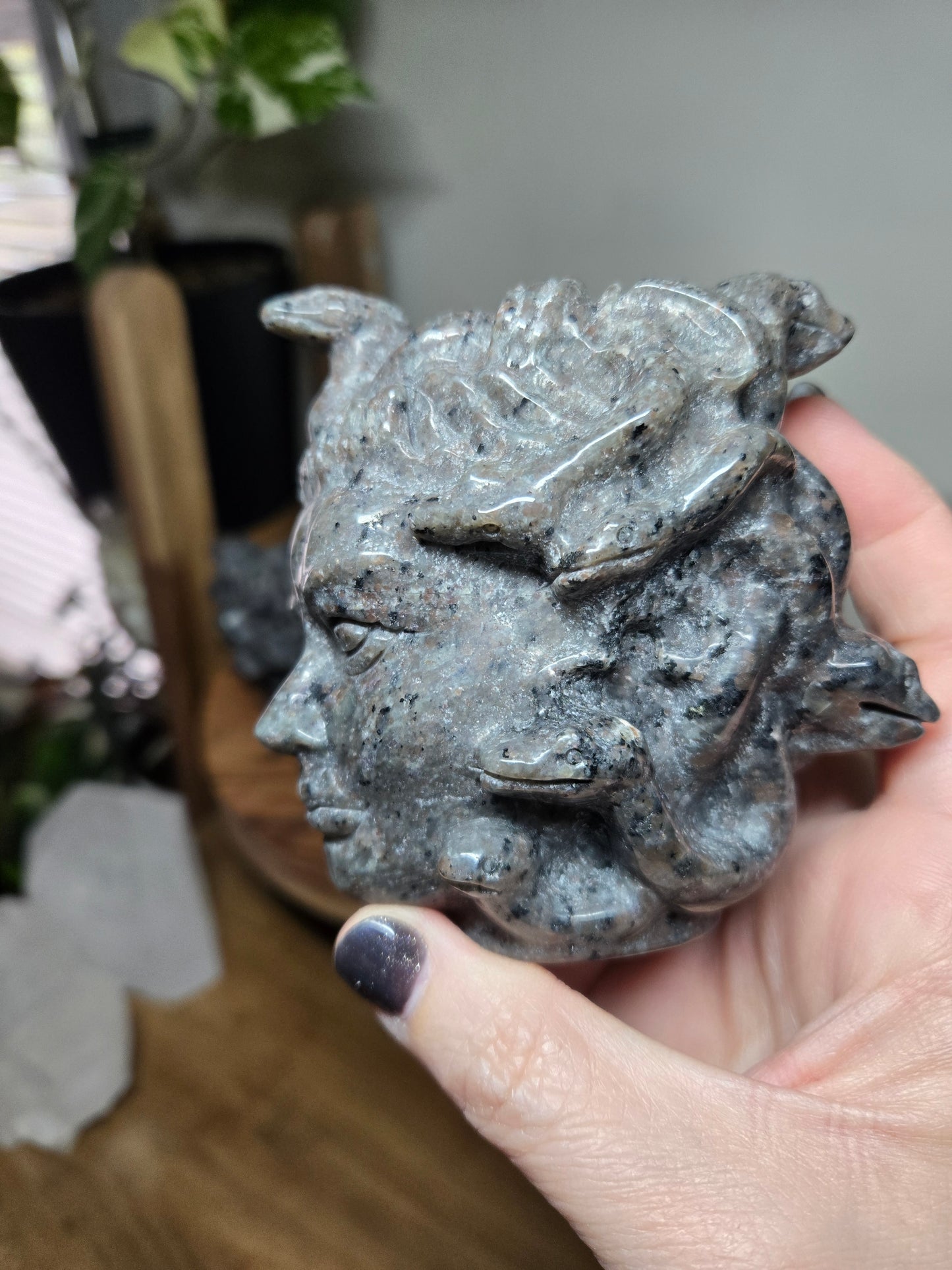 Medusa Head Yooperlite