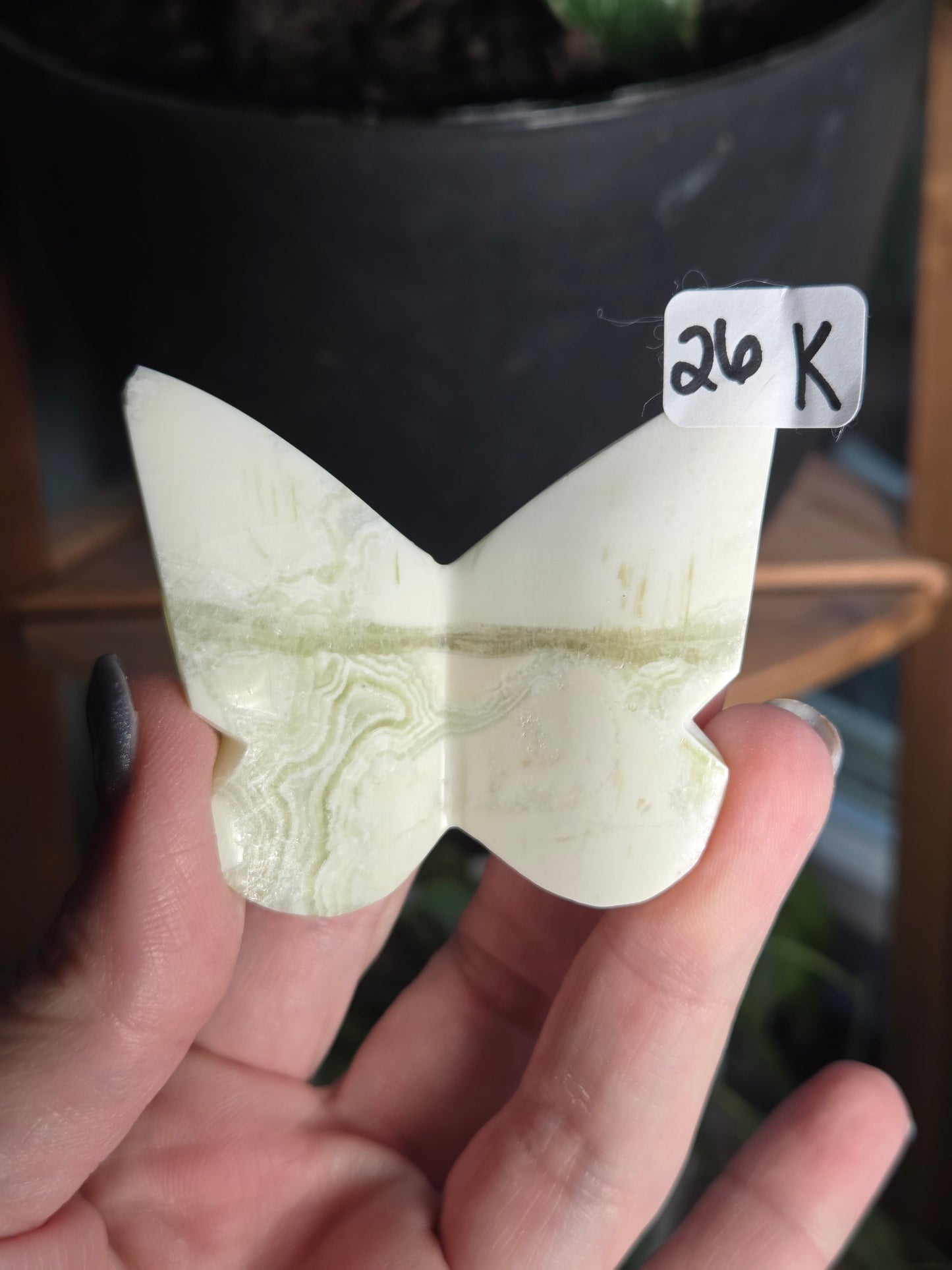 3D Green Maligano Butterfly