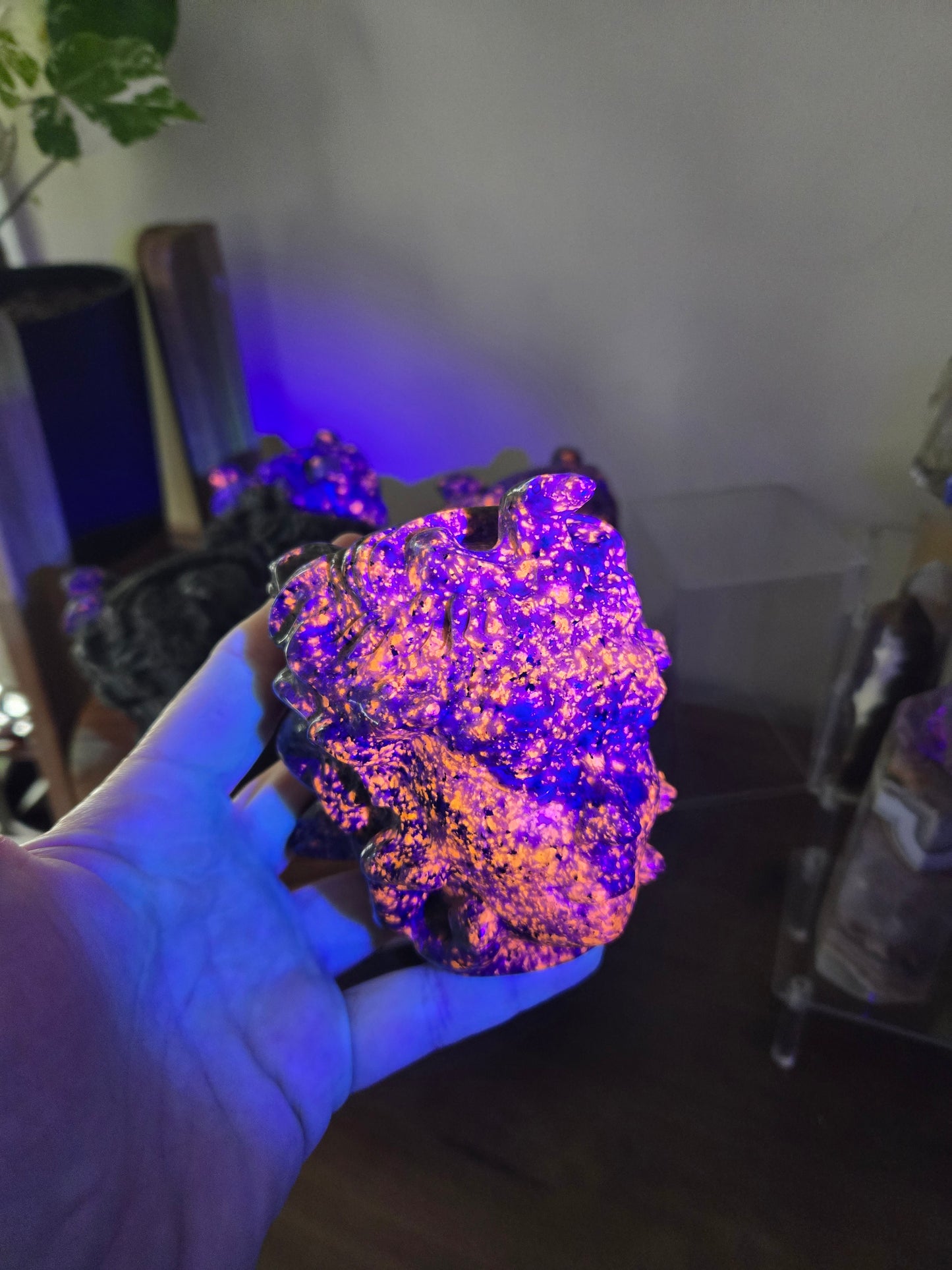 Medusa Head Yooperlite