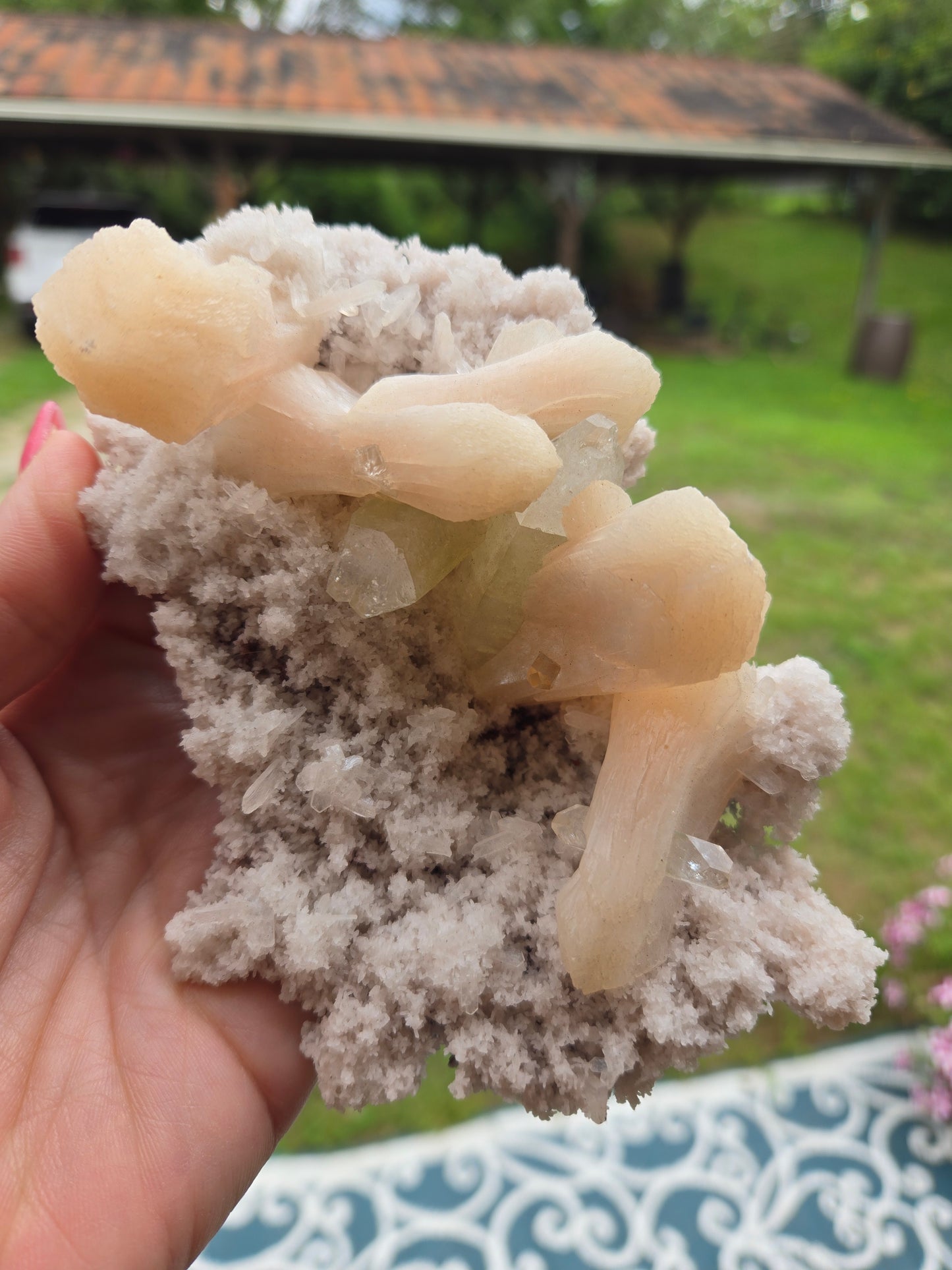 Live Sale thestarr141