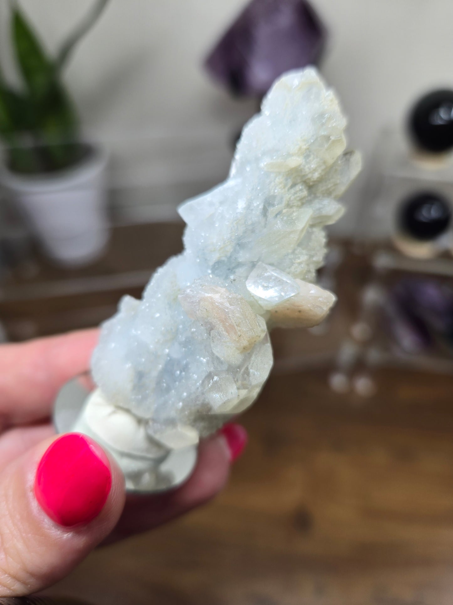 Live Sale thestarr141