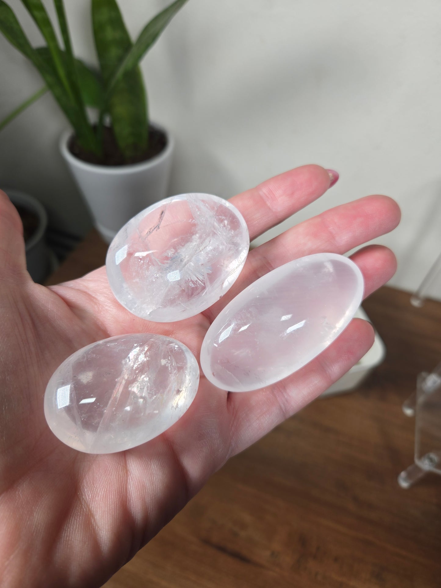 Girasol Tumble/ Palm