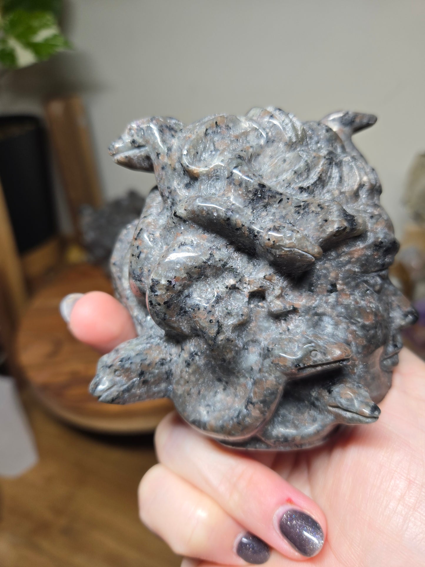 Medusa Head Yooperlite