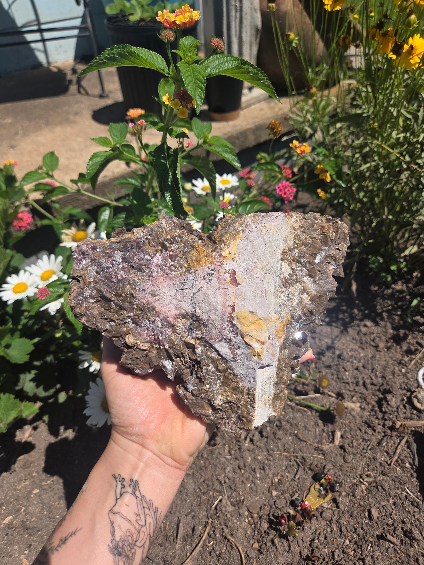 Dogtooth Calcite with Secondary Selenite Coating (Mexico)