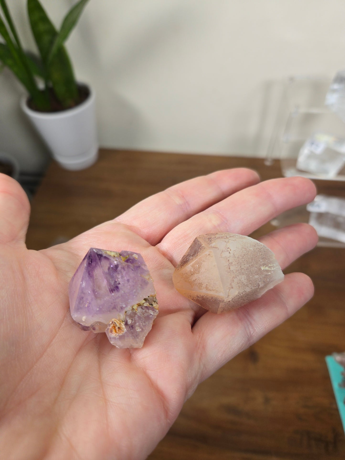 Live Sale thestarr141