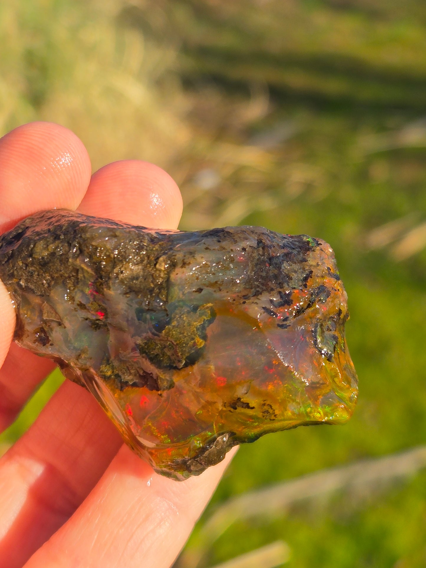 Ethiopian Water Opal (5)