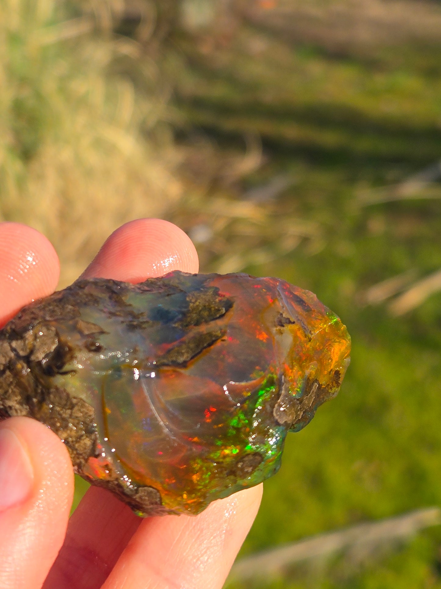 Ethiopian Water Opal (5)