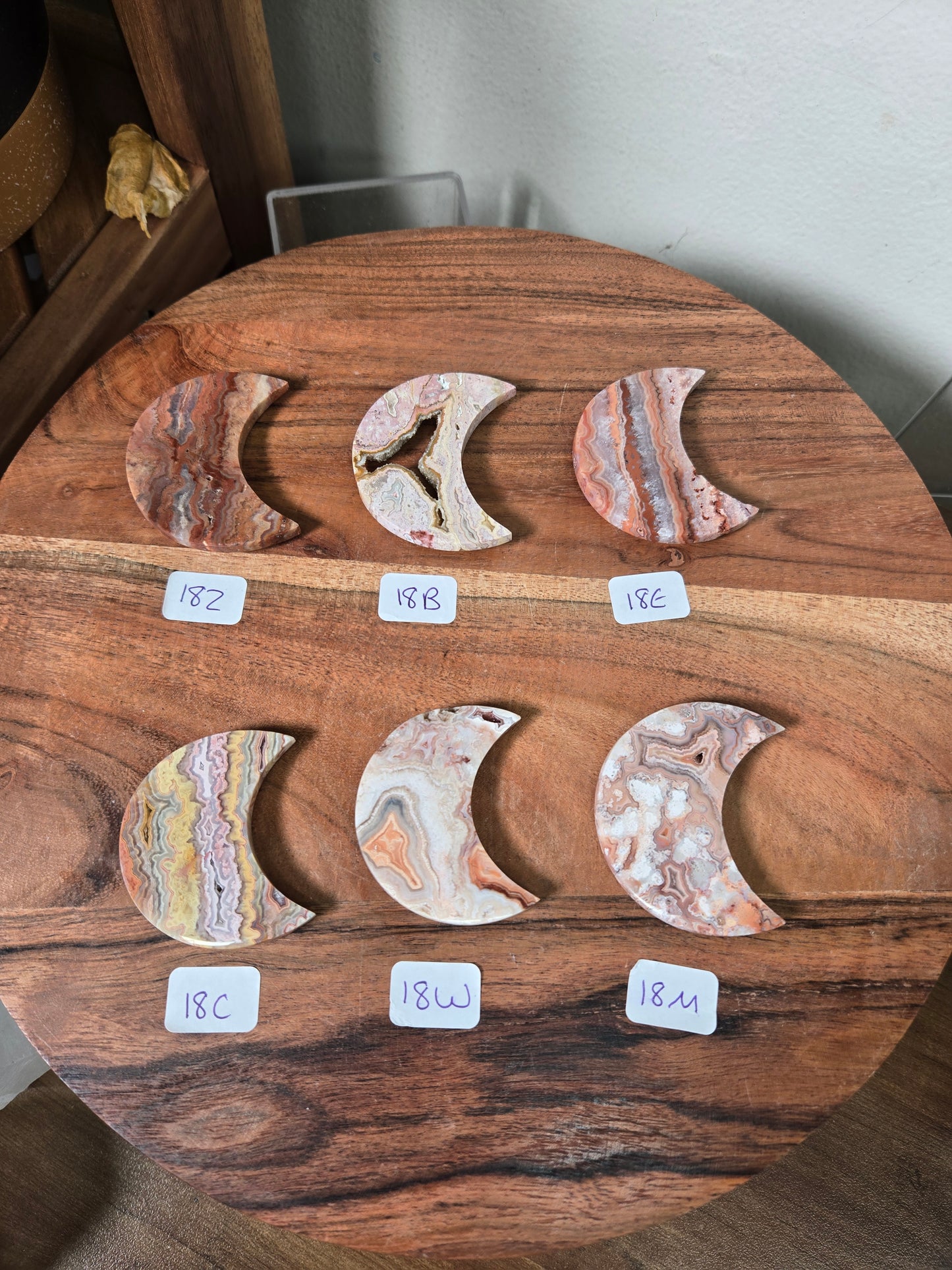 Mexican Crazy Lace Moons