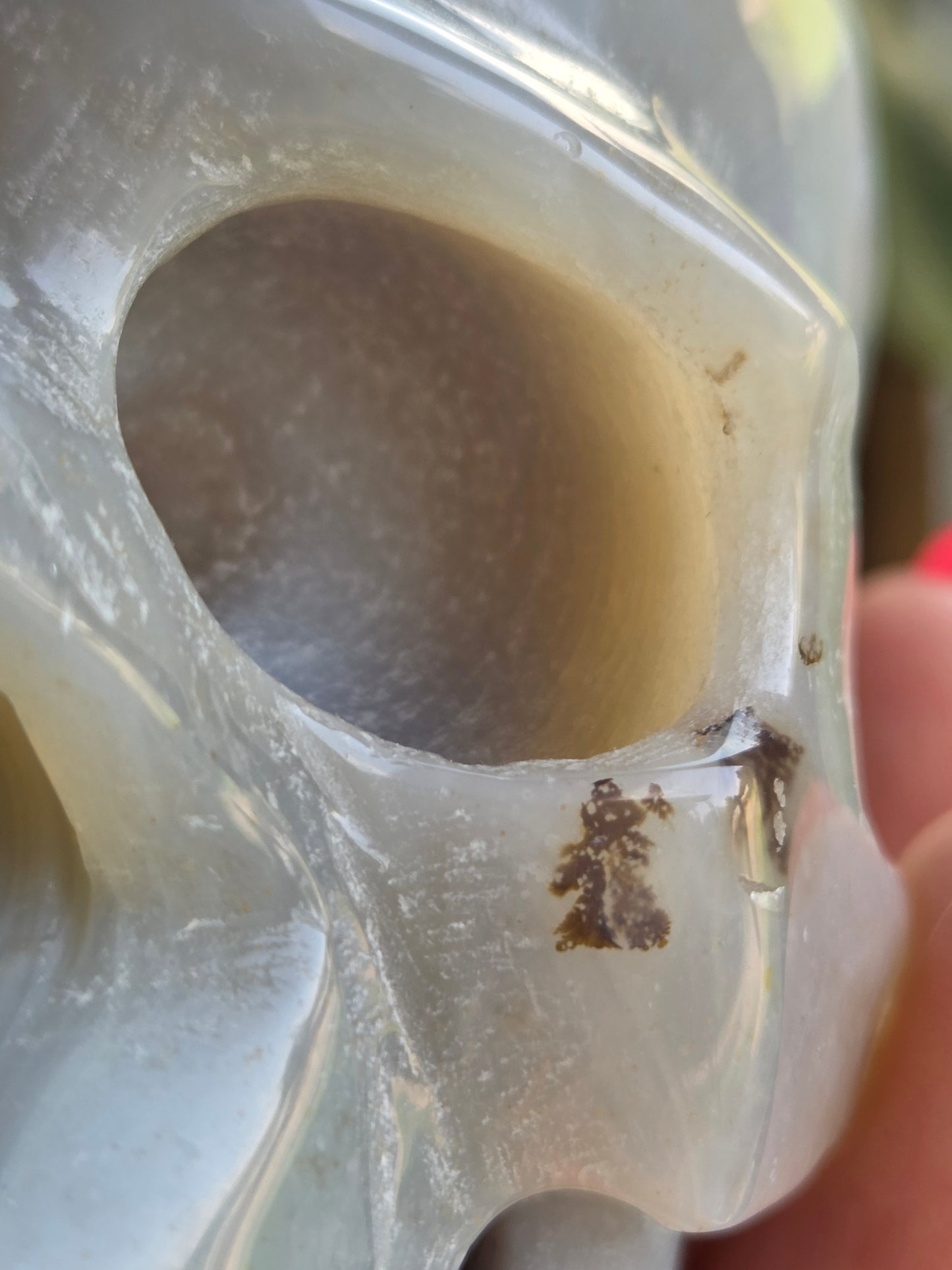Dendritic Agate Skull