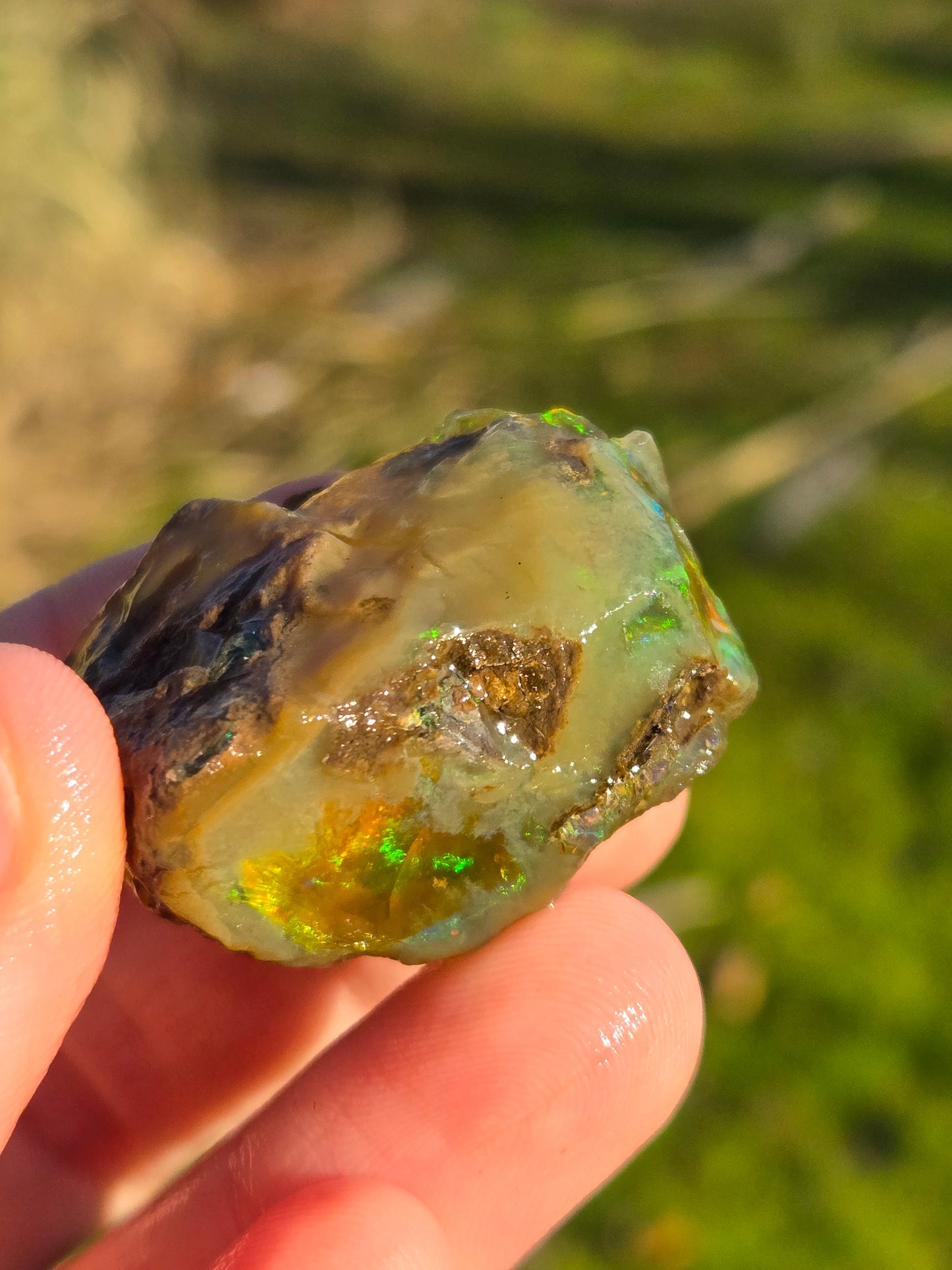 Ethiopian Water Opal (7)