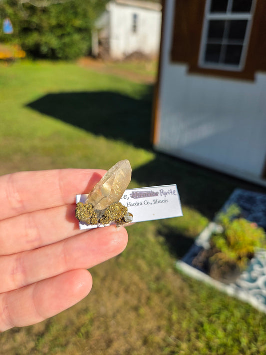 Calcite/ Pryite (Illinois)