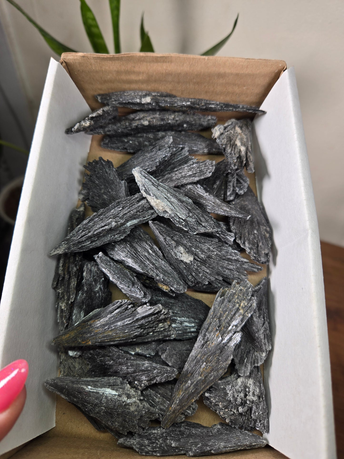 Black Kyanite Spray