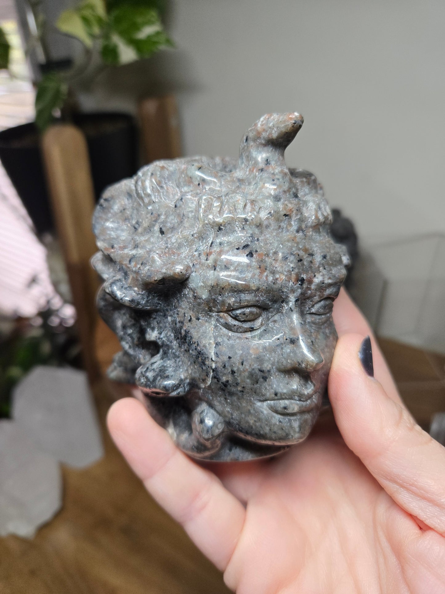 Medusa Head Yooperlite