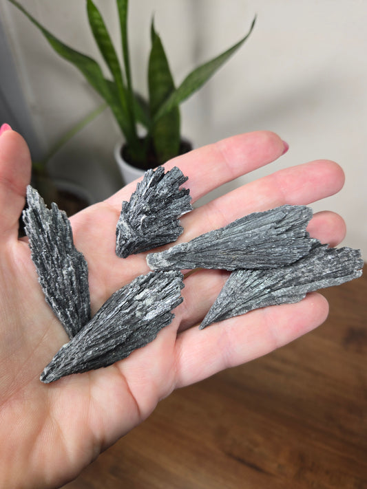 Black Kyanite Spray