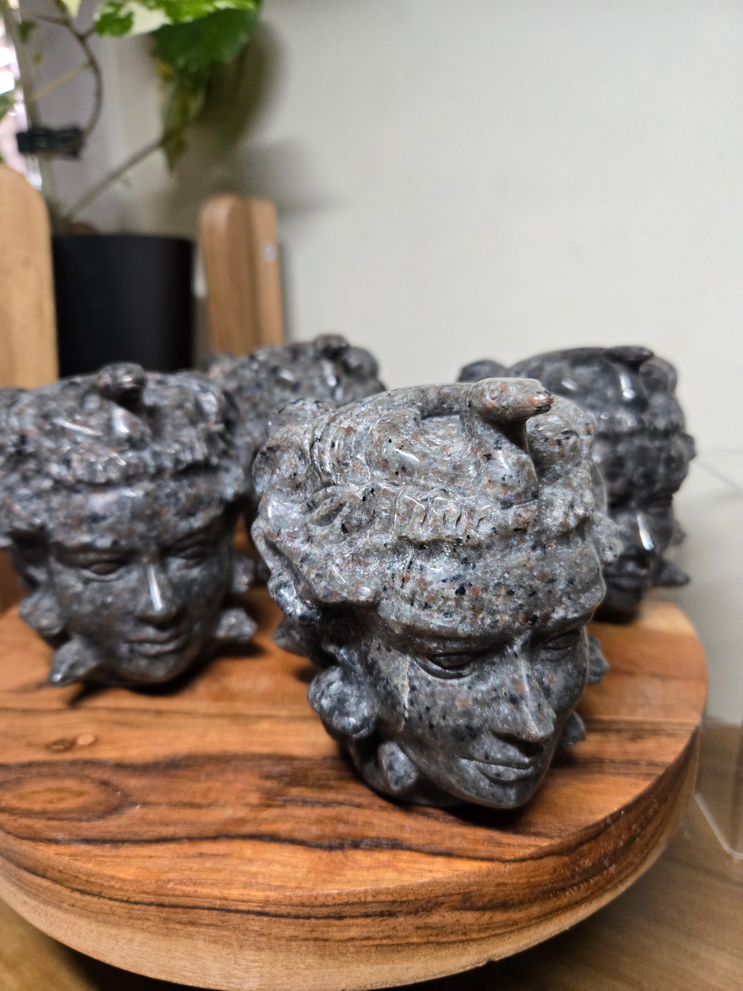 Medusa Head Yooperlite