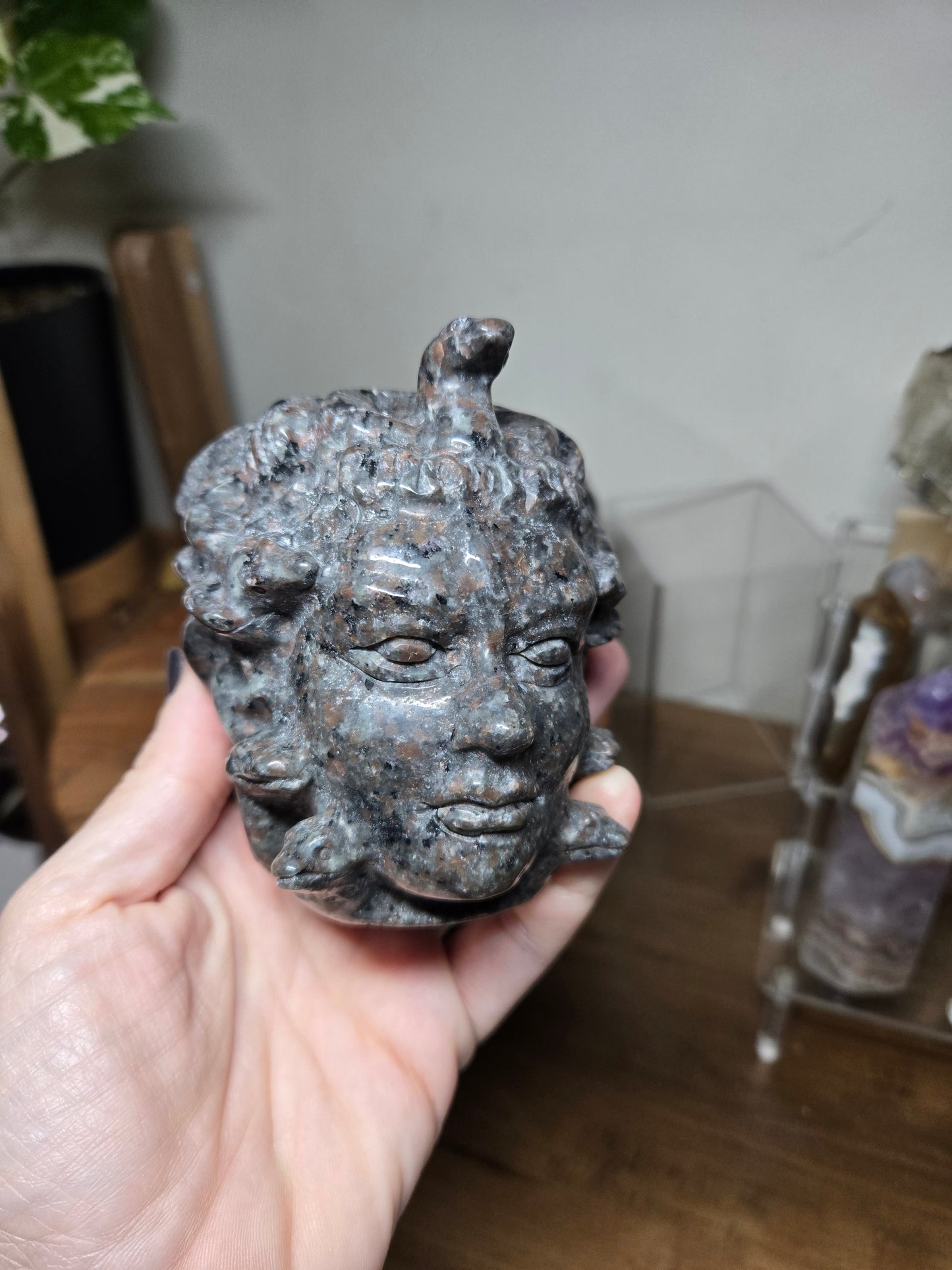 Medusa Head Yooperlite