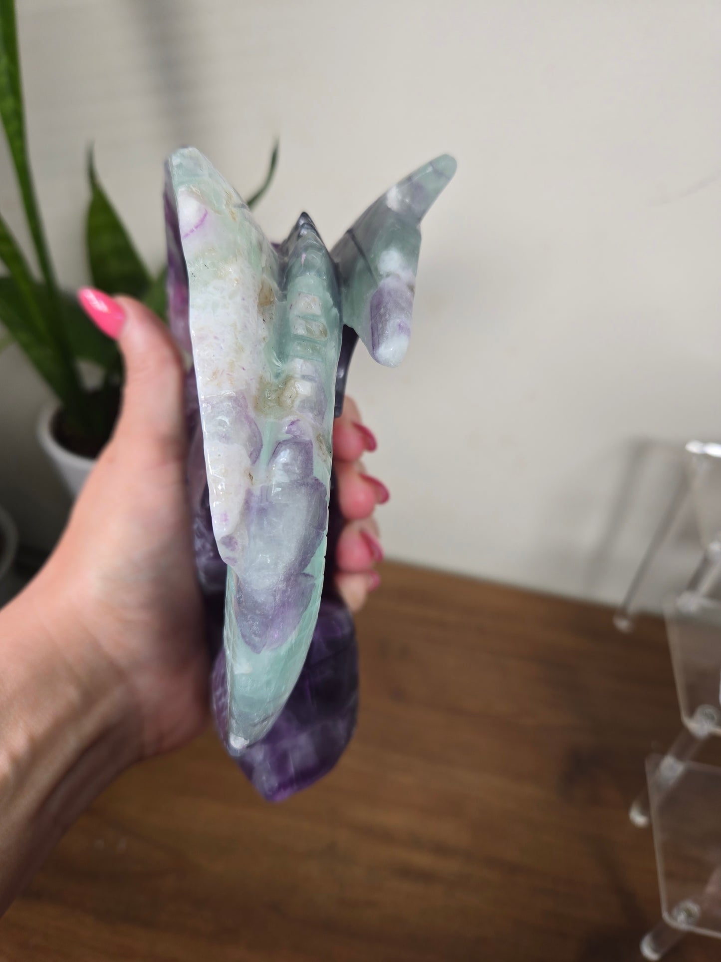 Fluorite Dragon