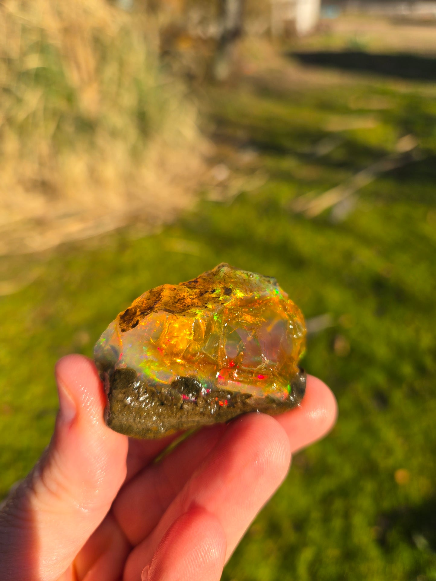 Ethiopian Water Opal
