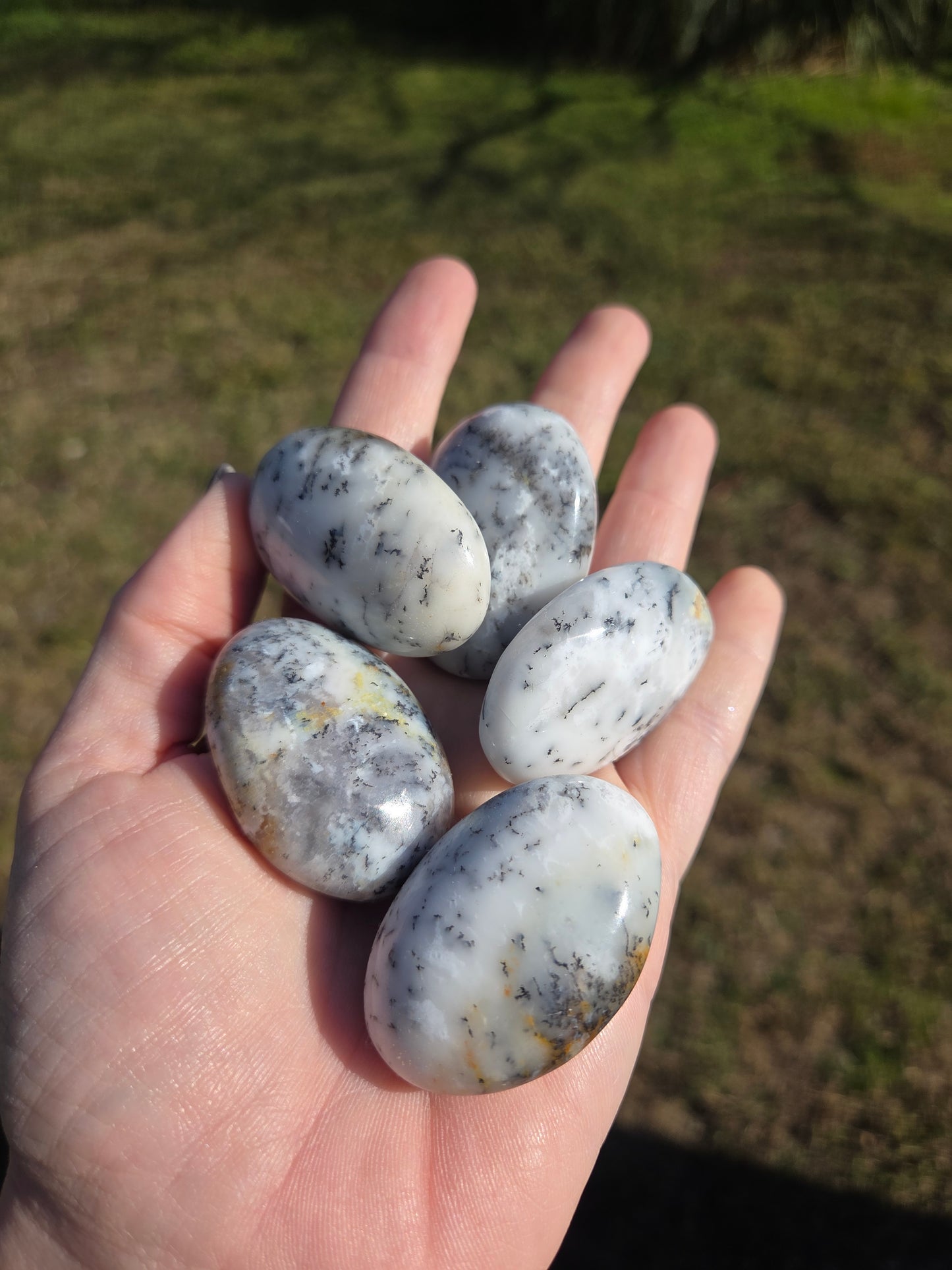 Dendritic Opal Mini Palms