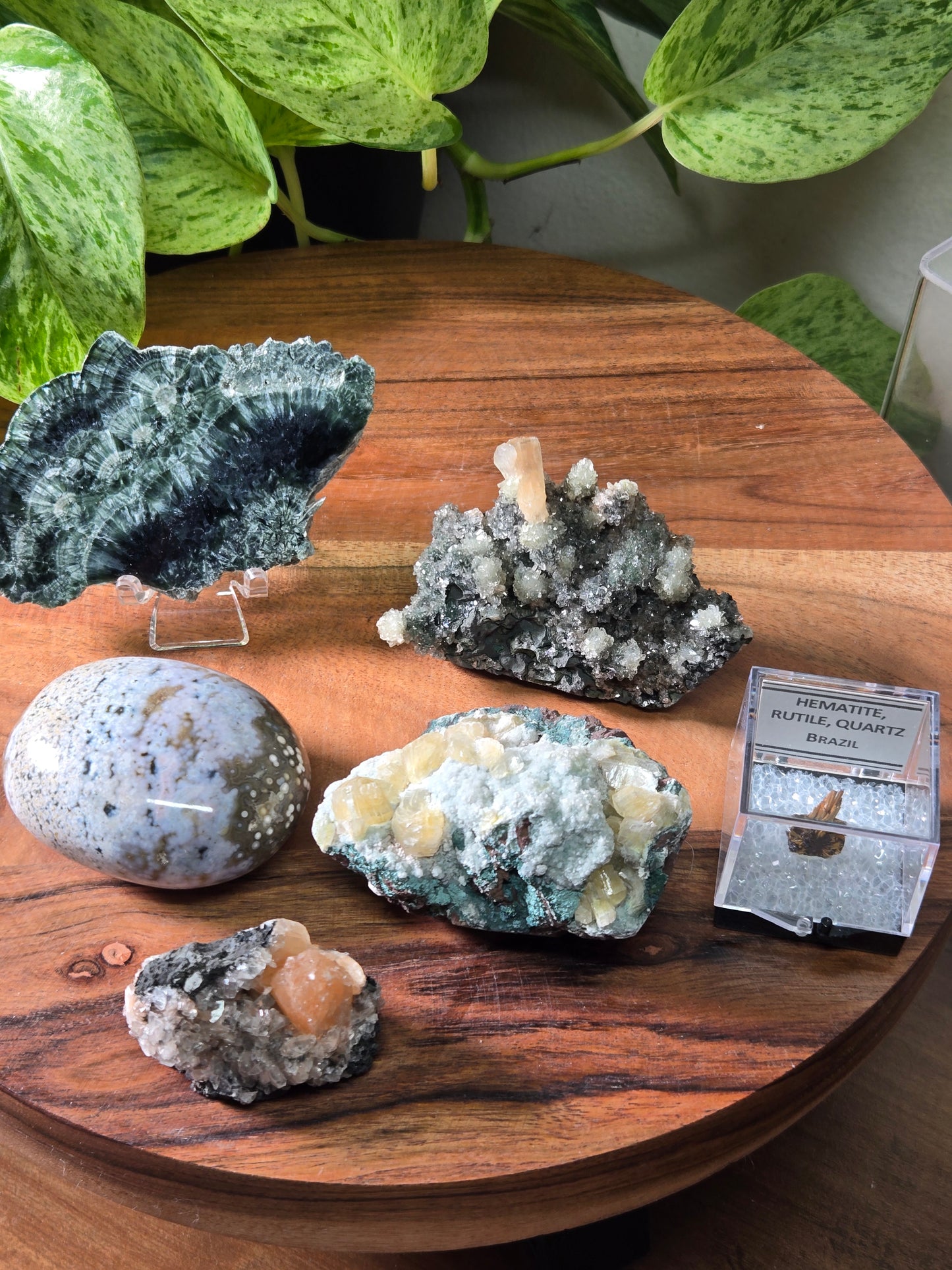 Comment to Claim thestarr141