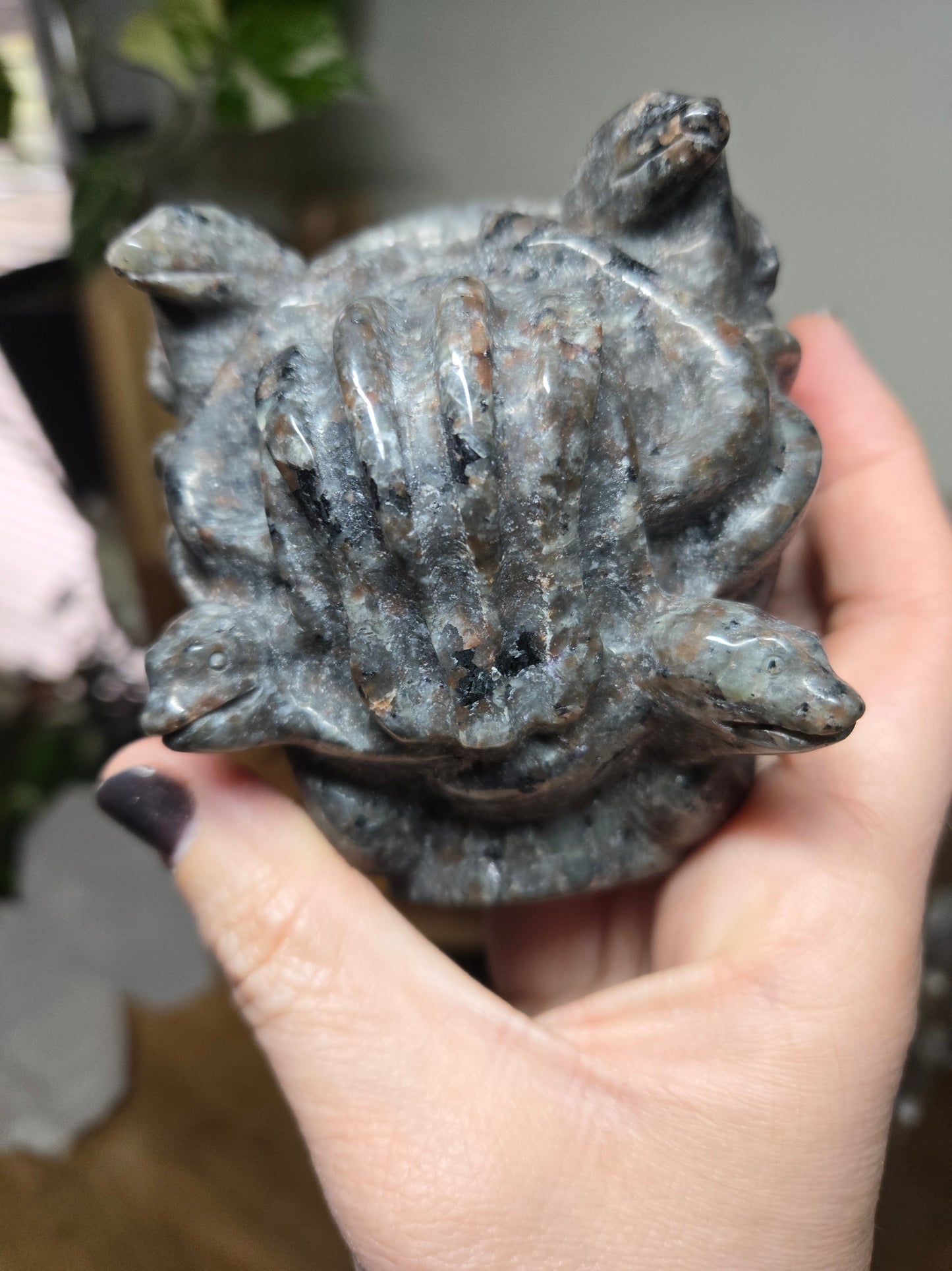 Medusa Head Yooperlite