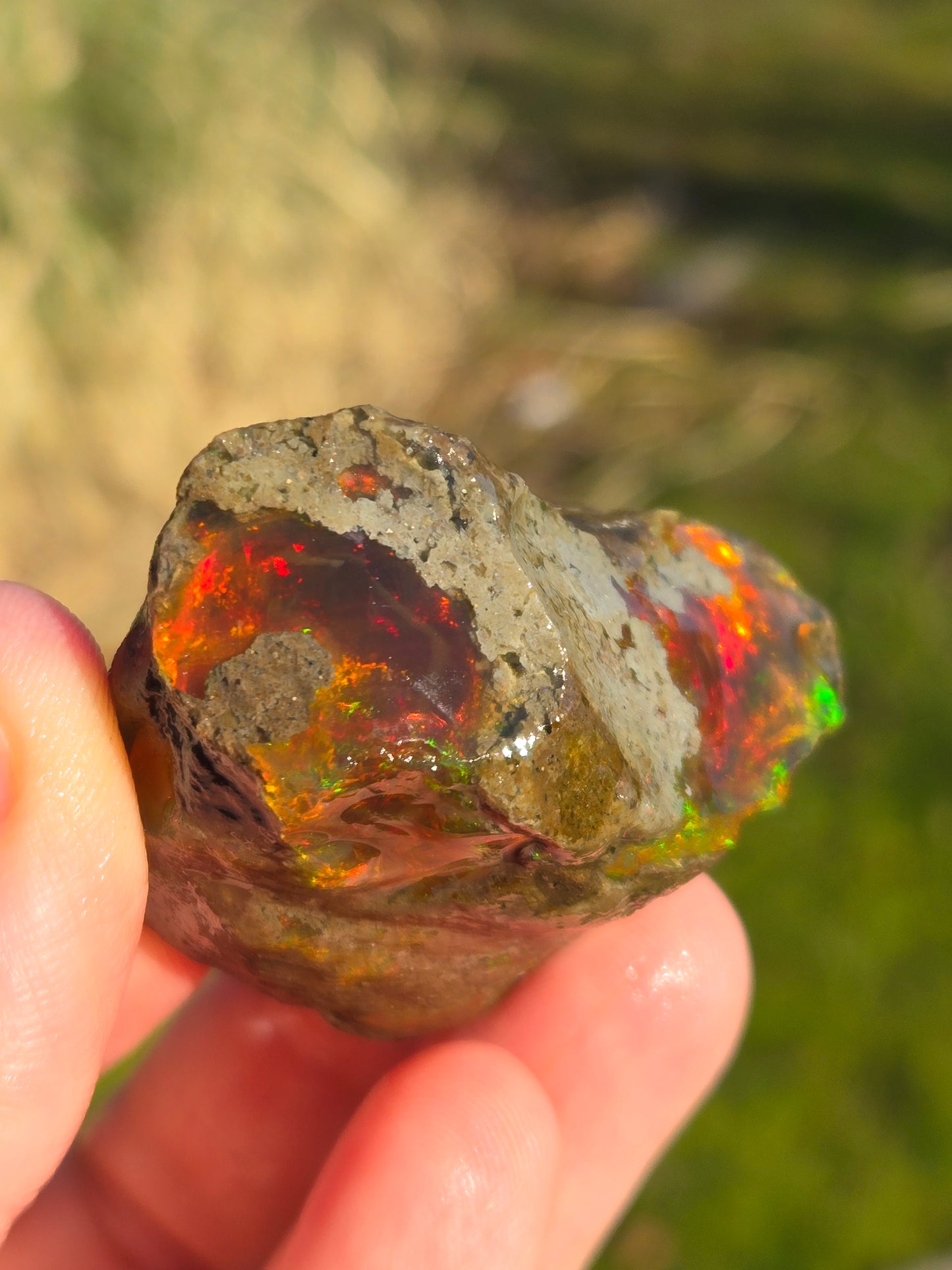 Ethiopian Water Opal (3)