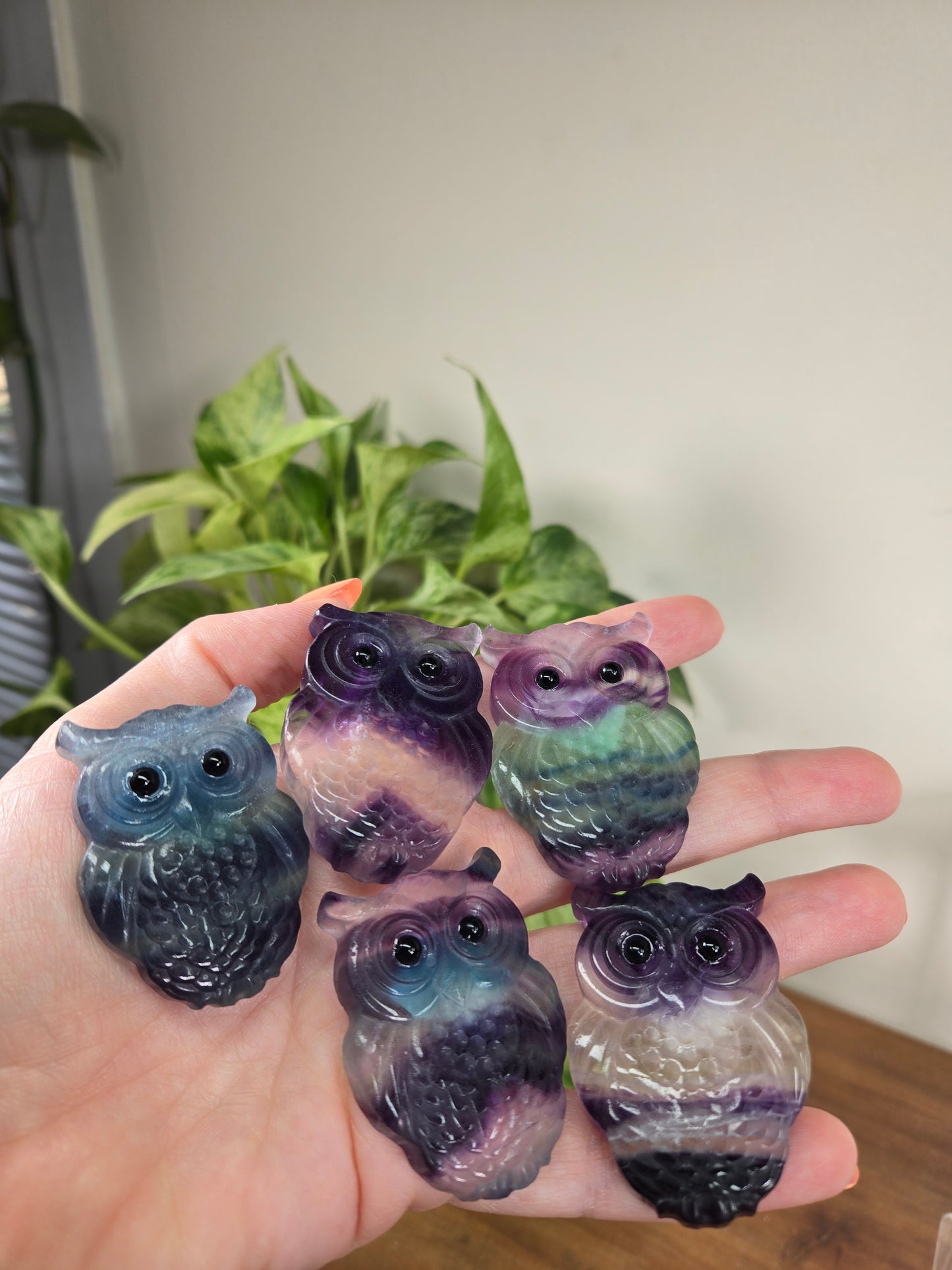 Fluorite Owls