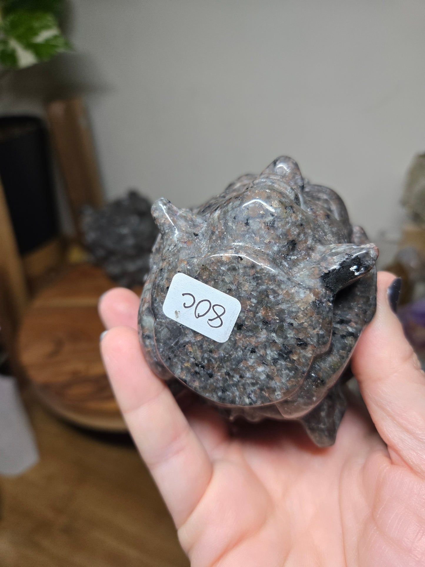 Medusa Head Yooperlite