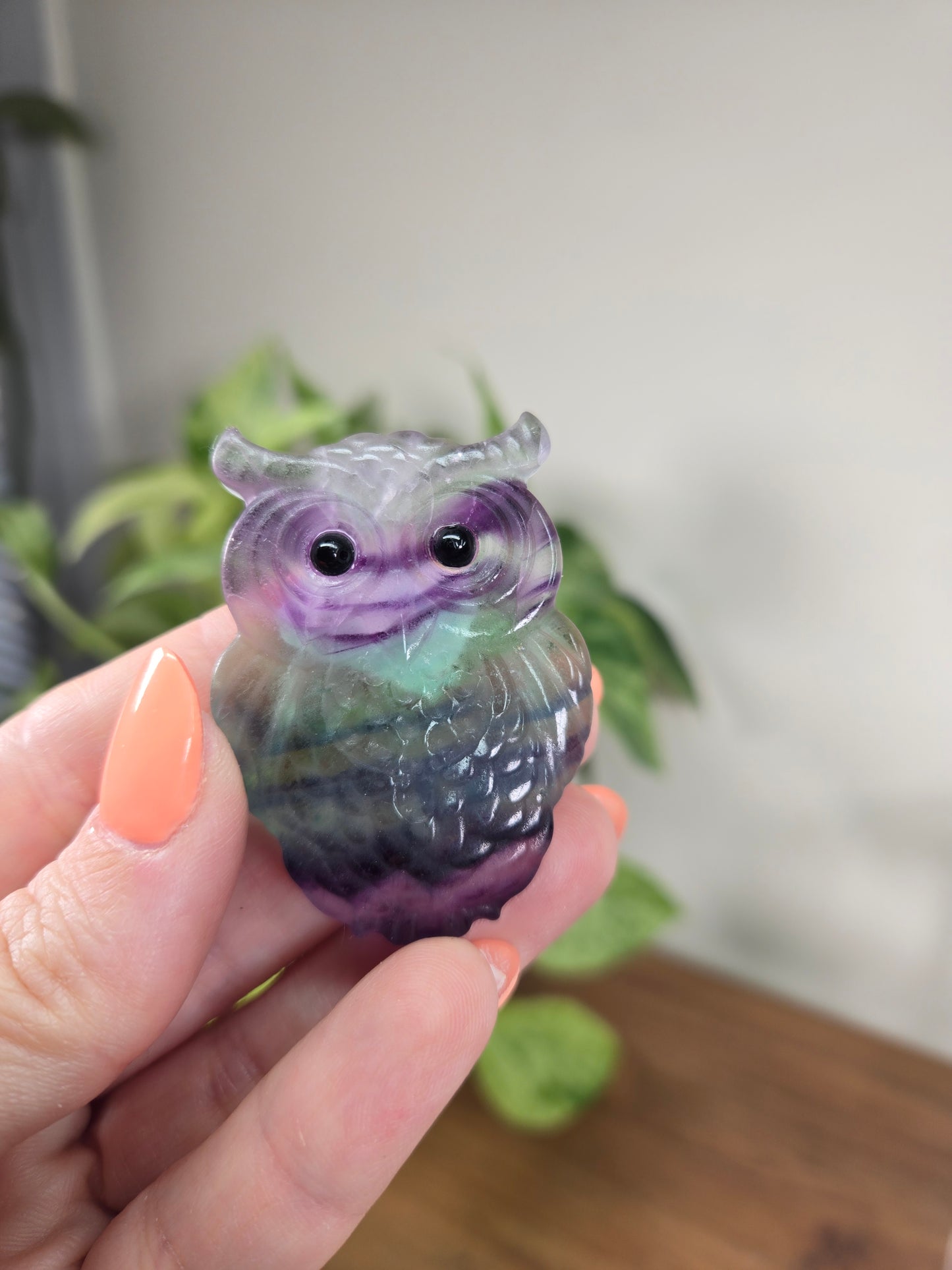 Fluorite Owls