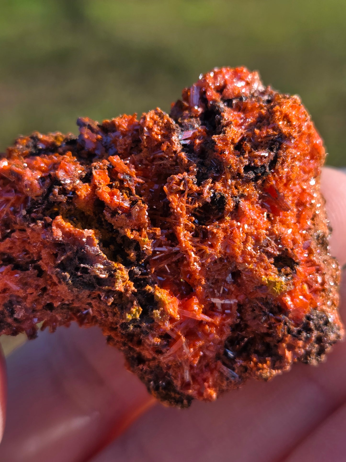 Crocoite (Tasmania, Australia)