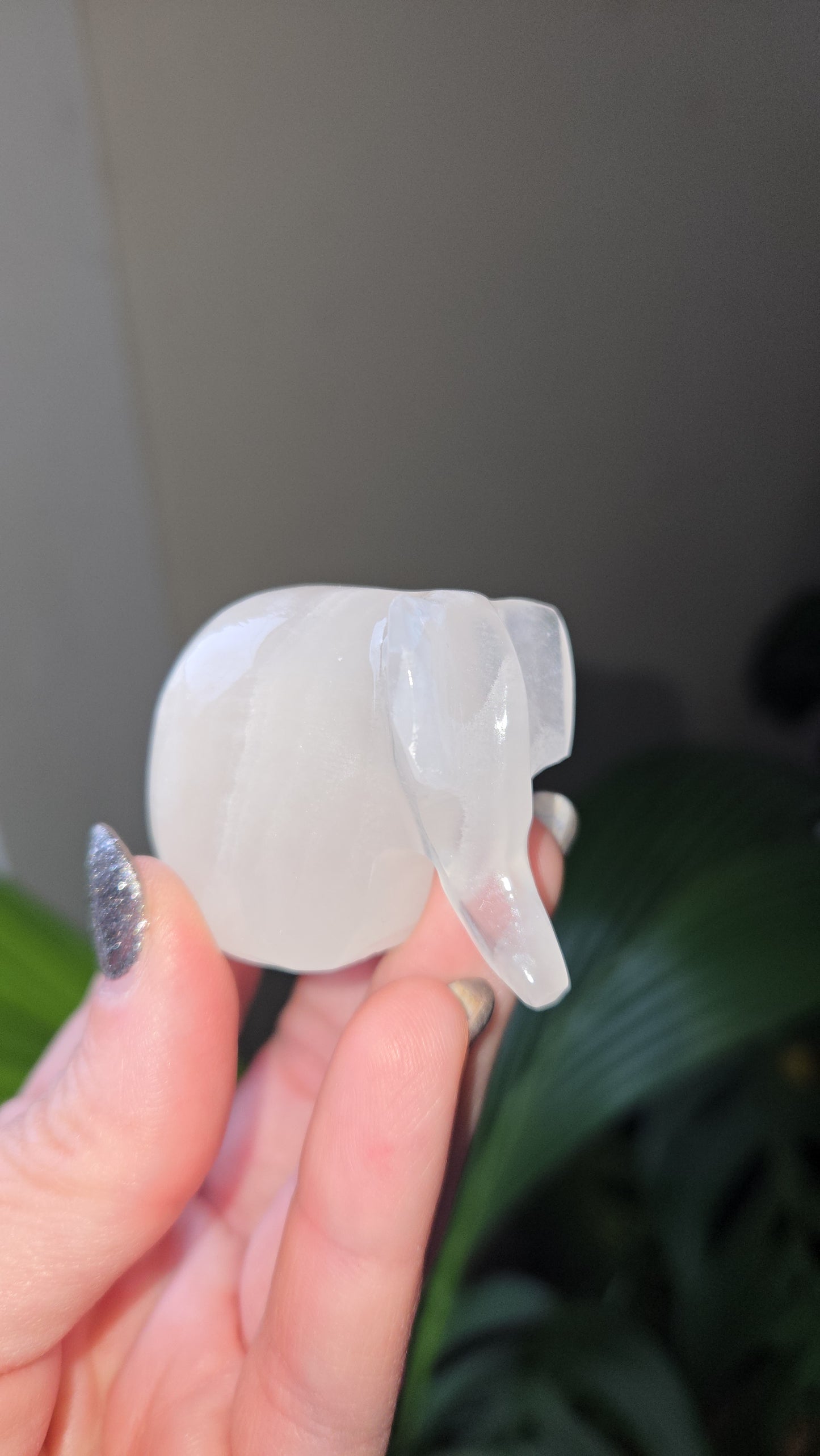 Onyx Elephant