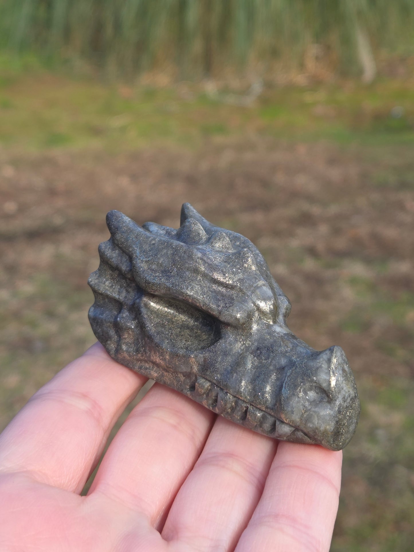 Pyrite Dragon Head
