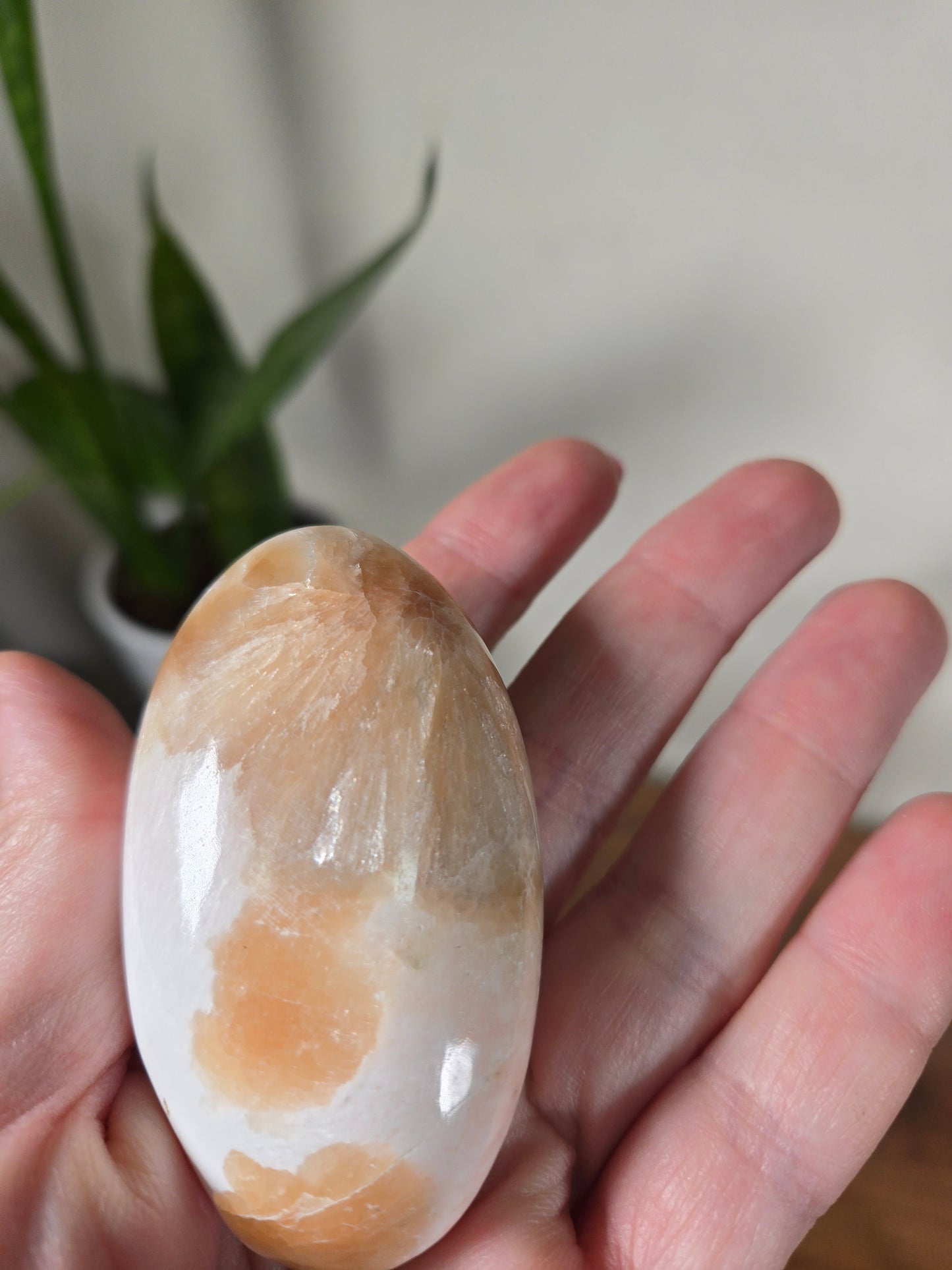 Scolecite / Scolecite Stilbite palms