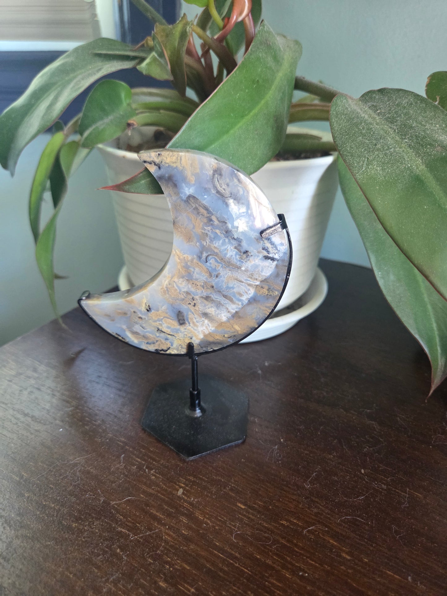 Dendritic Tiger Agate Moon